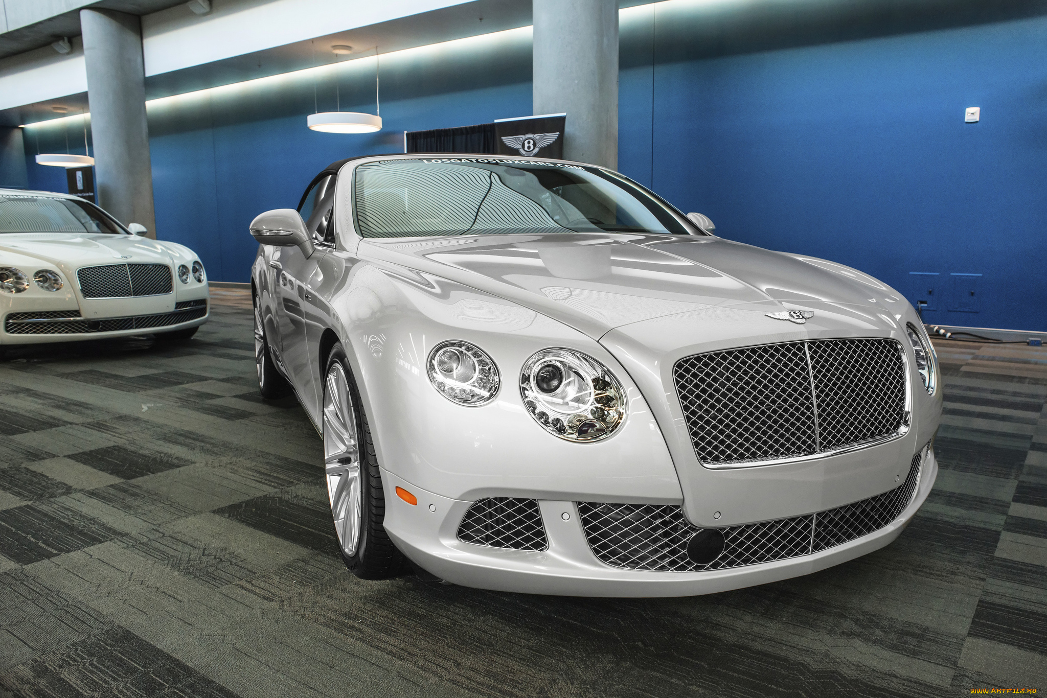 bentley, автомобили, выставки, и, уличные, фото, автосалон, выставка