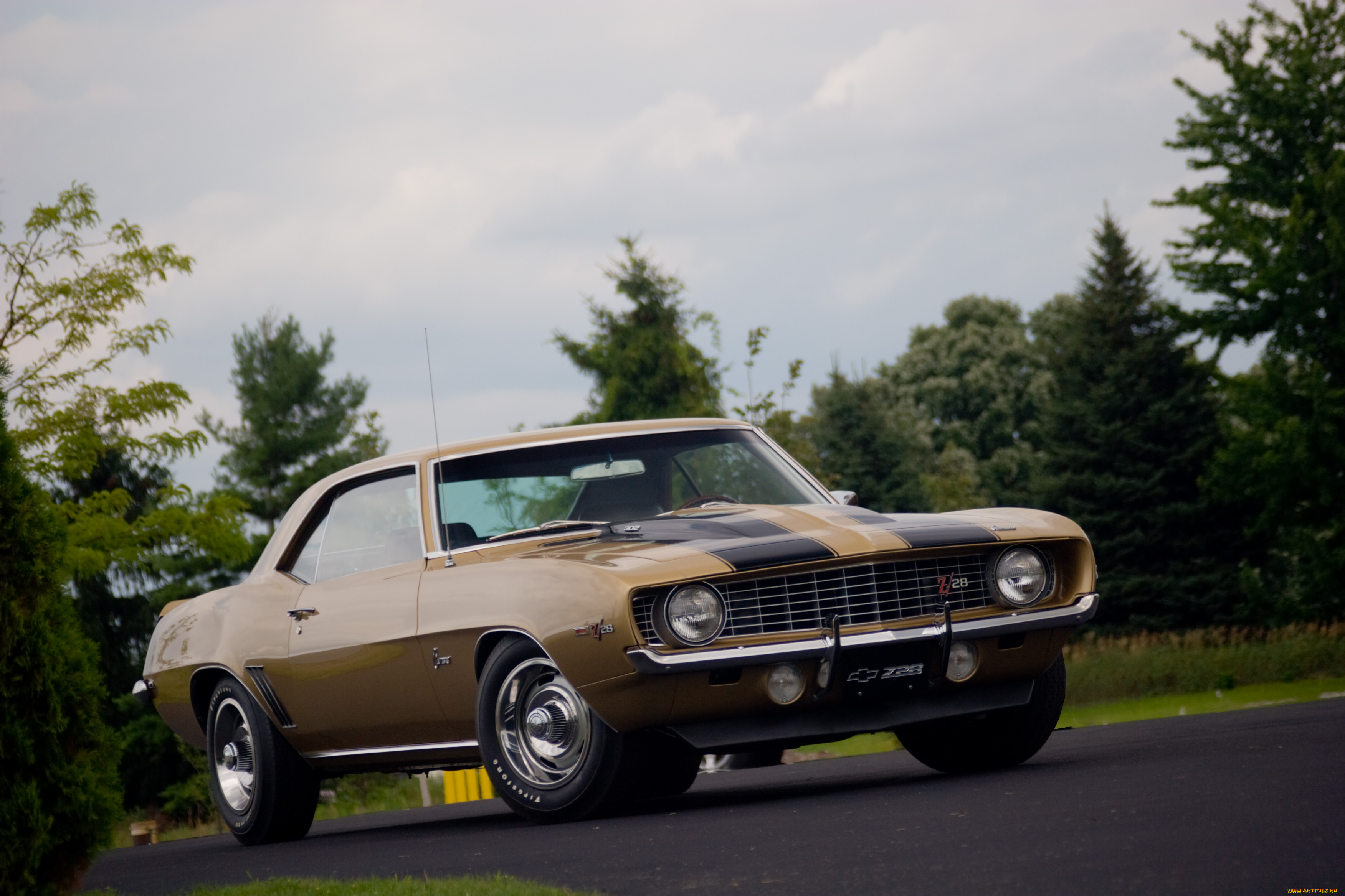 автомобили, camaro