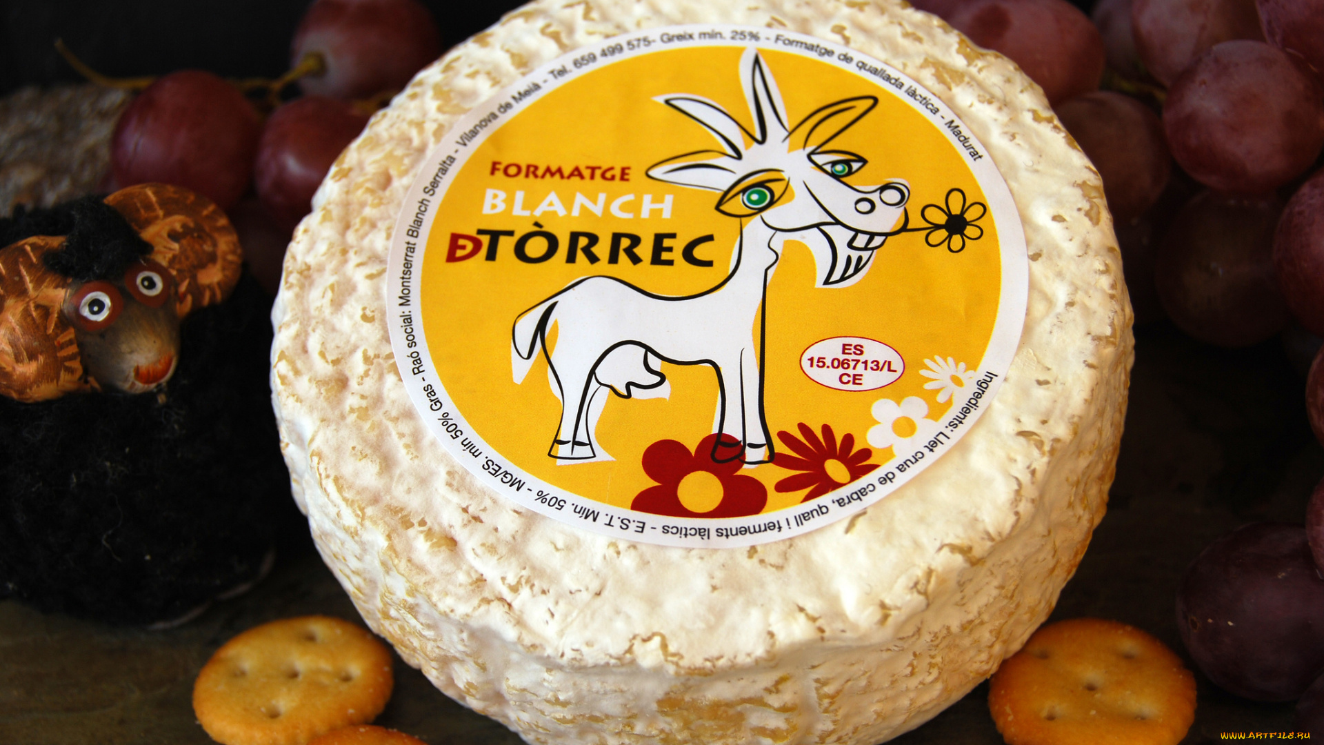 blanch, de, torrec, еда, сырные, изделия, сыр