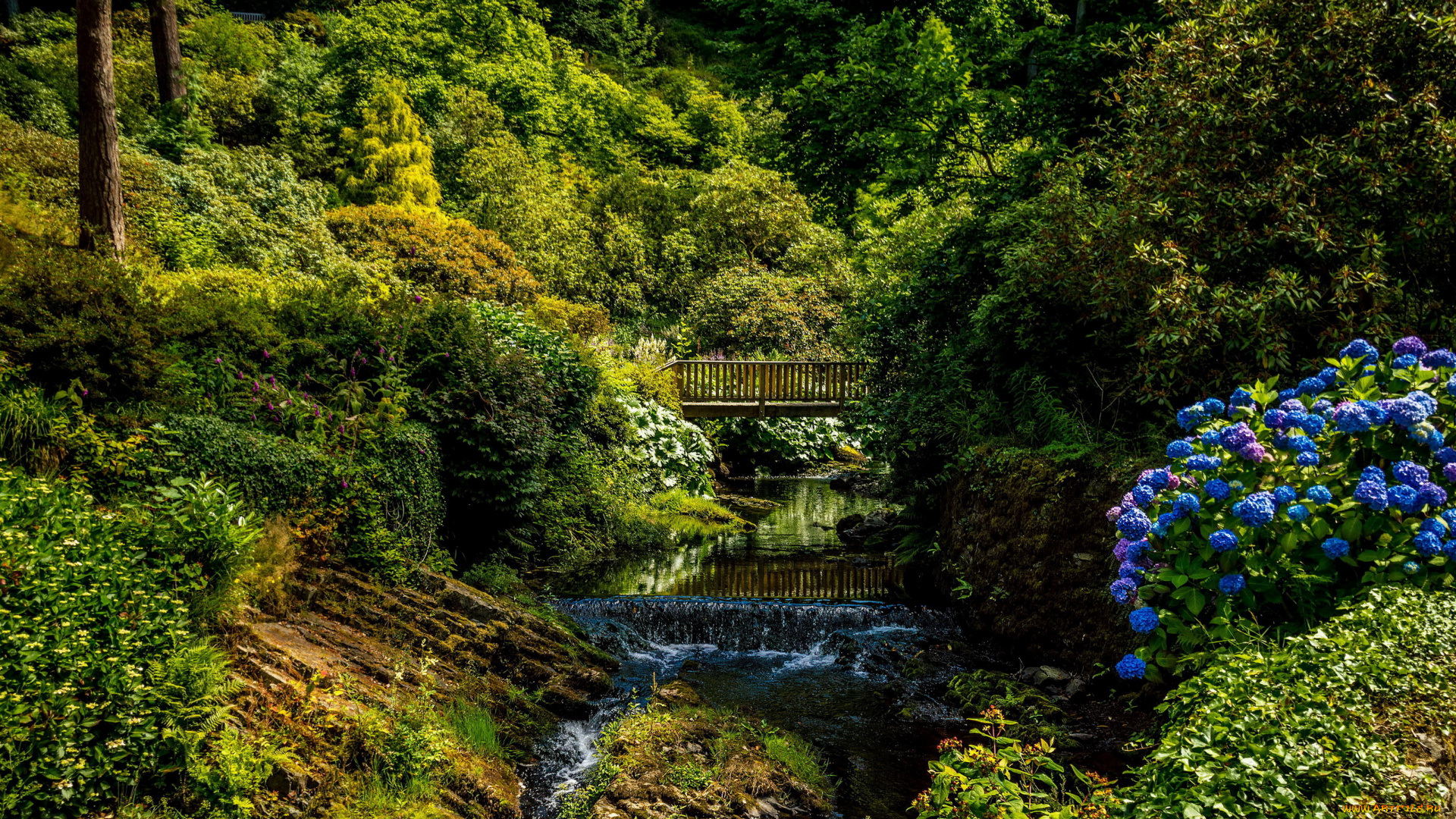 bodnant, gardens, , , великобритания, природа, парк, gardens, wales, великобритания, река, мостик, кусты, деревья