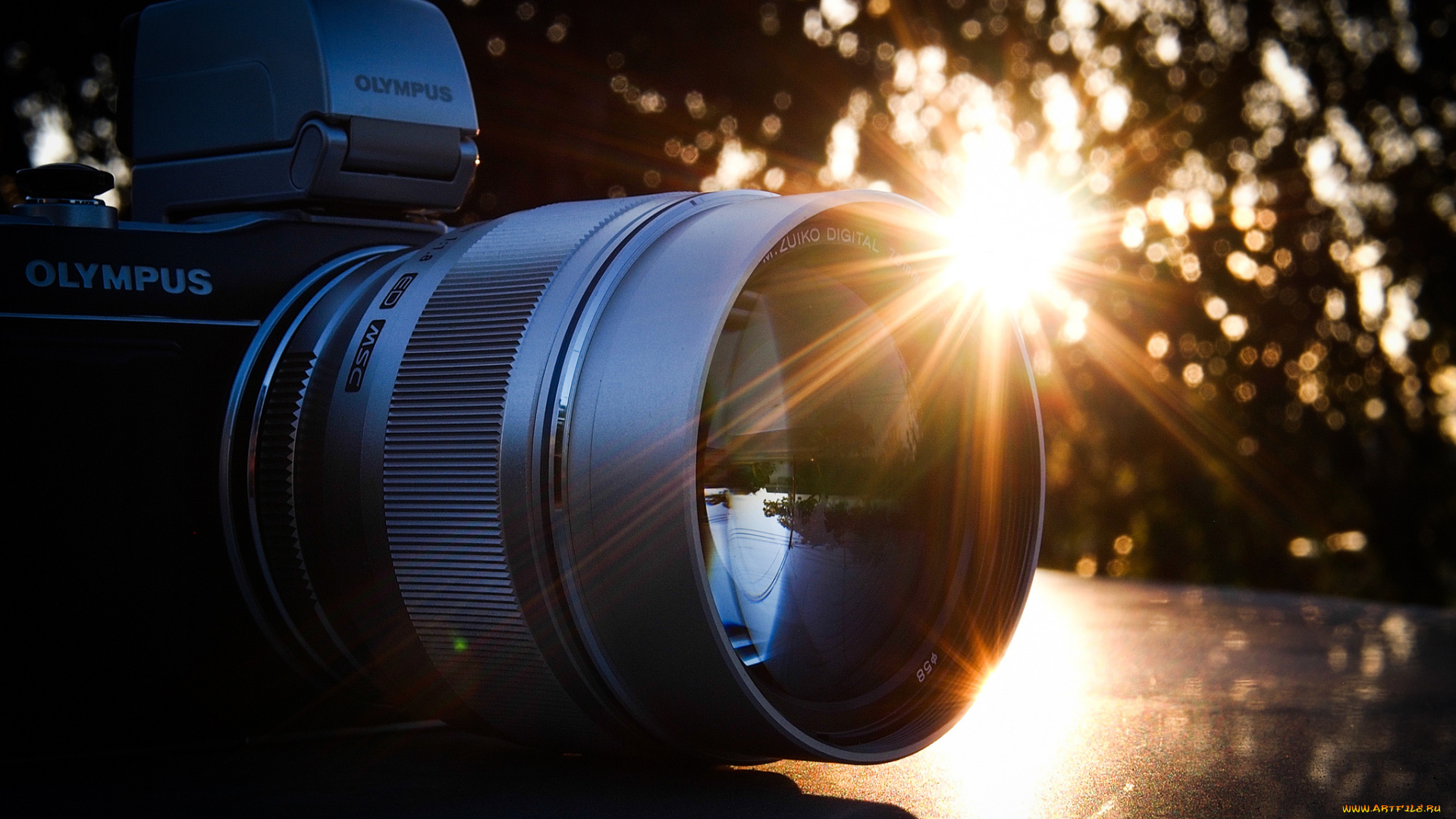 бренды, olympus, олимпус, фотоаппарат, камера, солнце