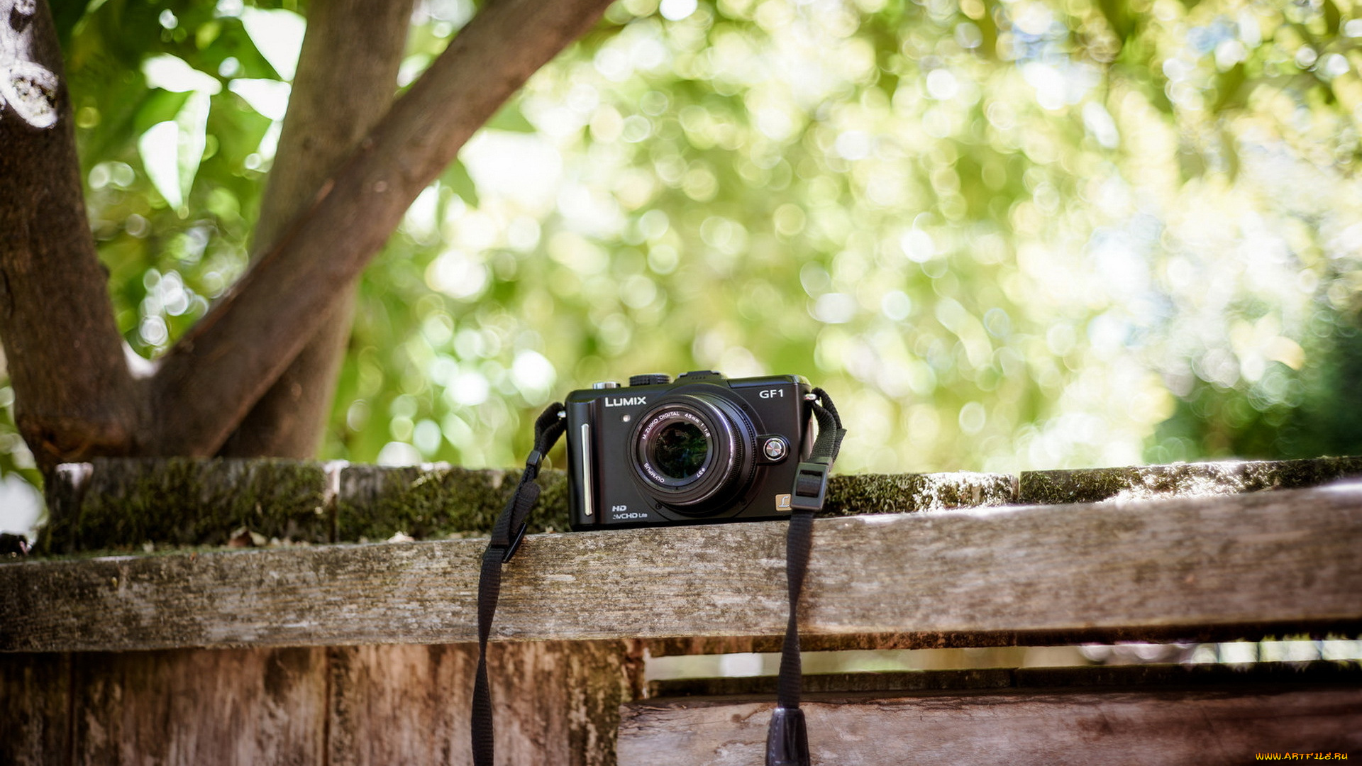 бренды, panasonic, люмикс, фотоаппарат, камера, доски, дерево, двор
