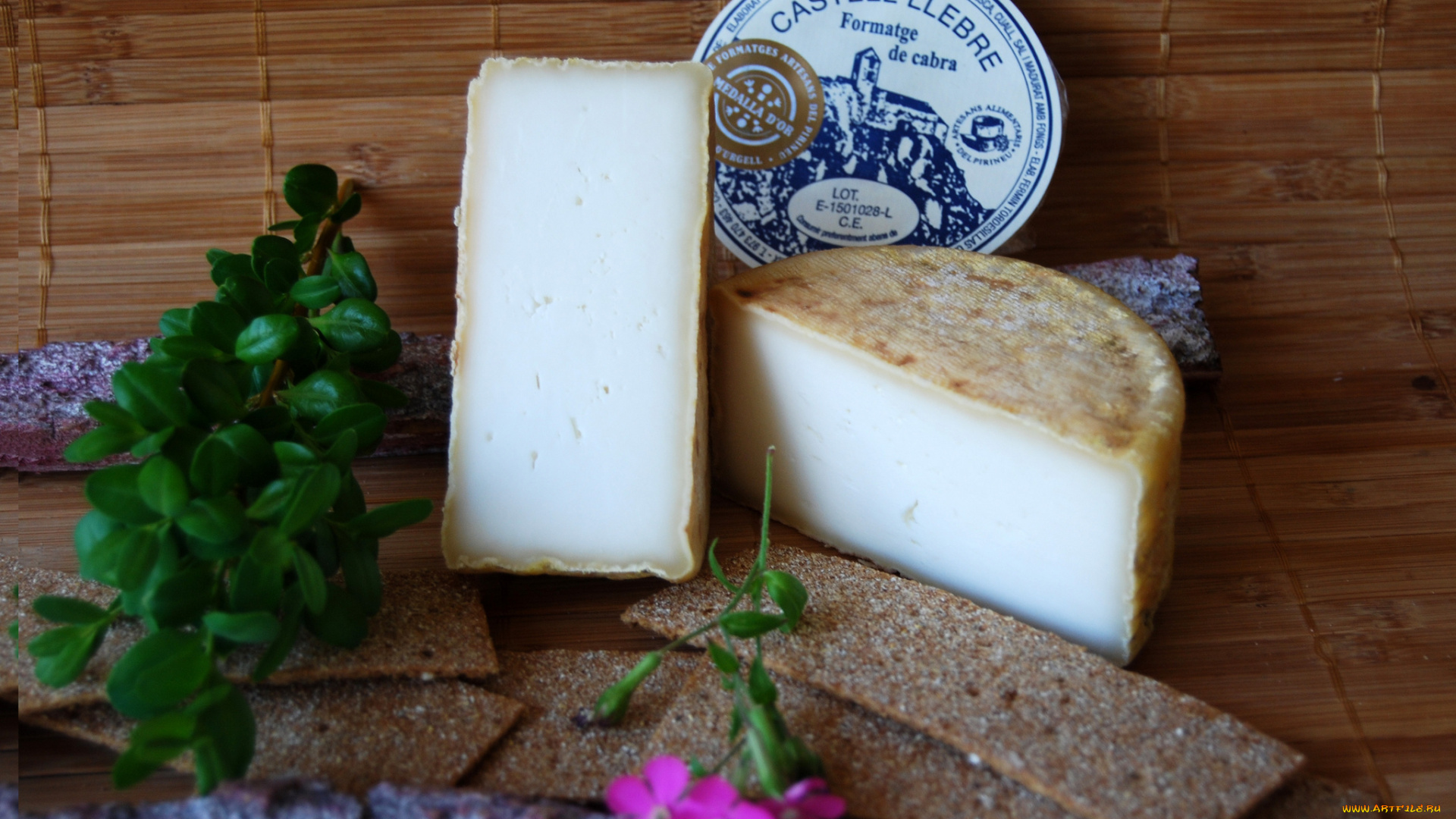 castell, llebre, еда, сырные, изделия, сыр