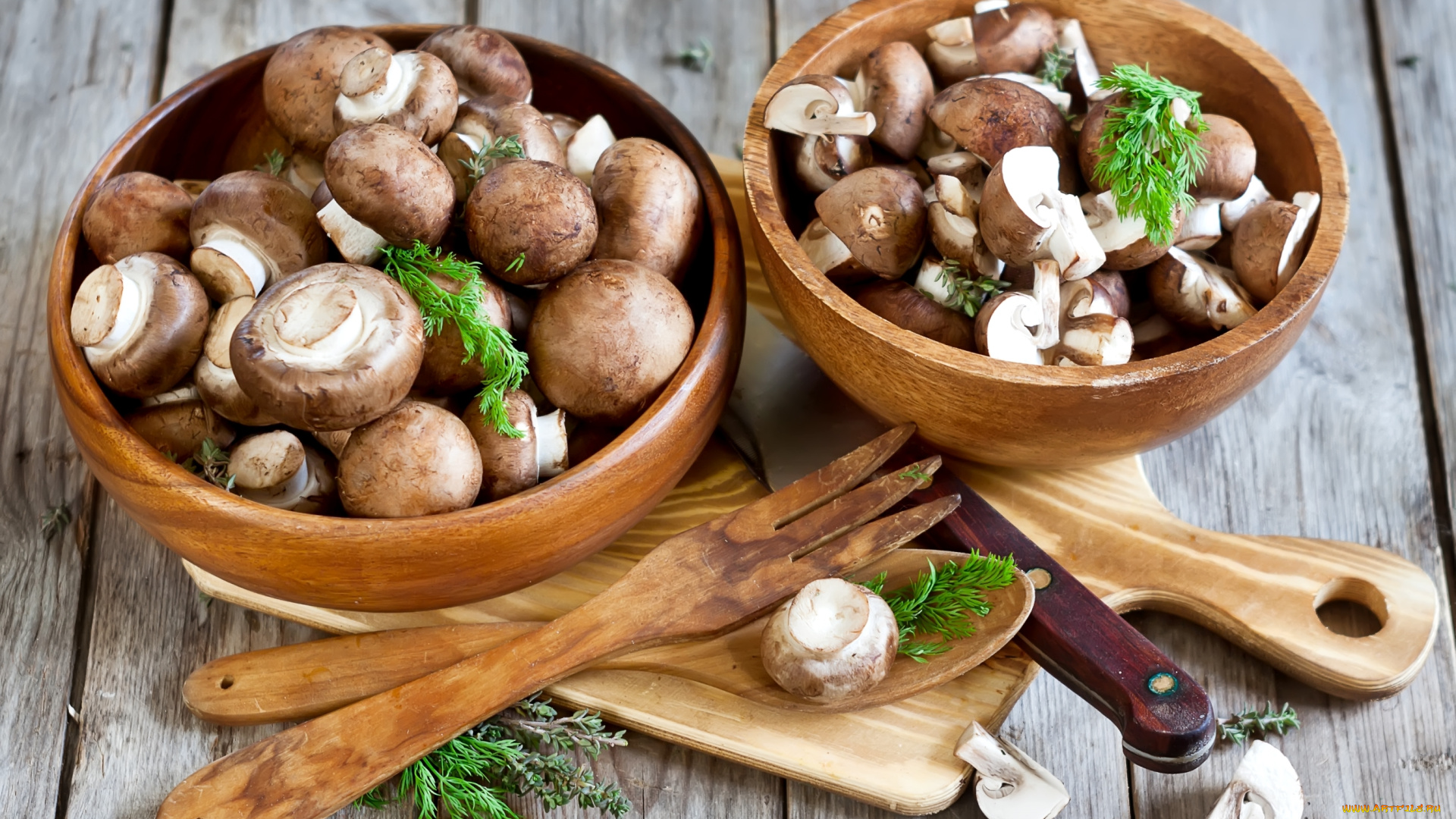 еда, грибы, , грибные, блюда, италия, ватиканский, музей, лестница, спираль