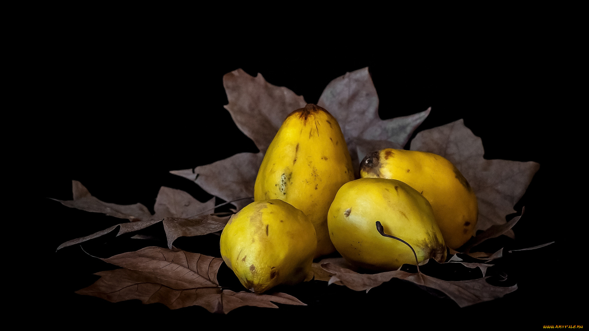 еда, груши, плоды