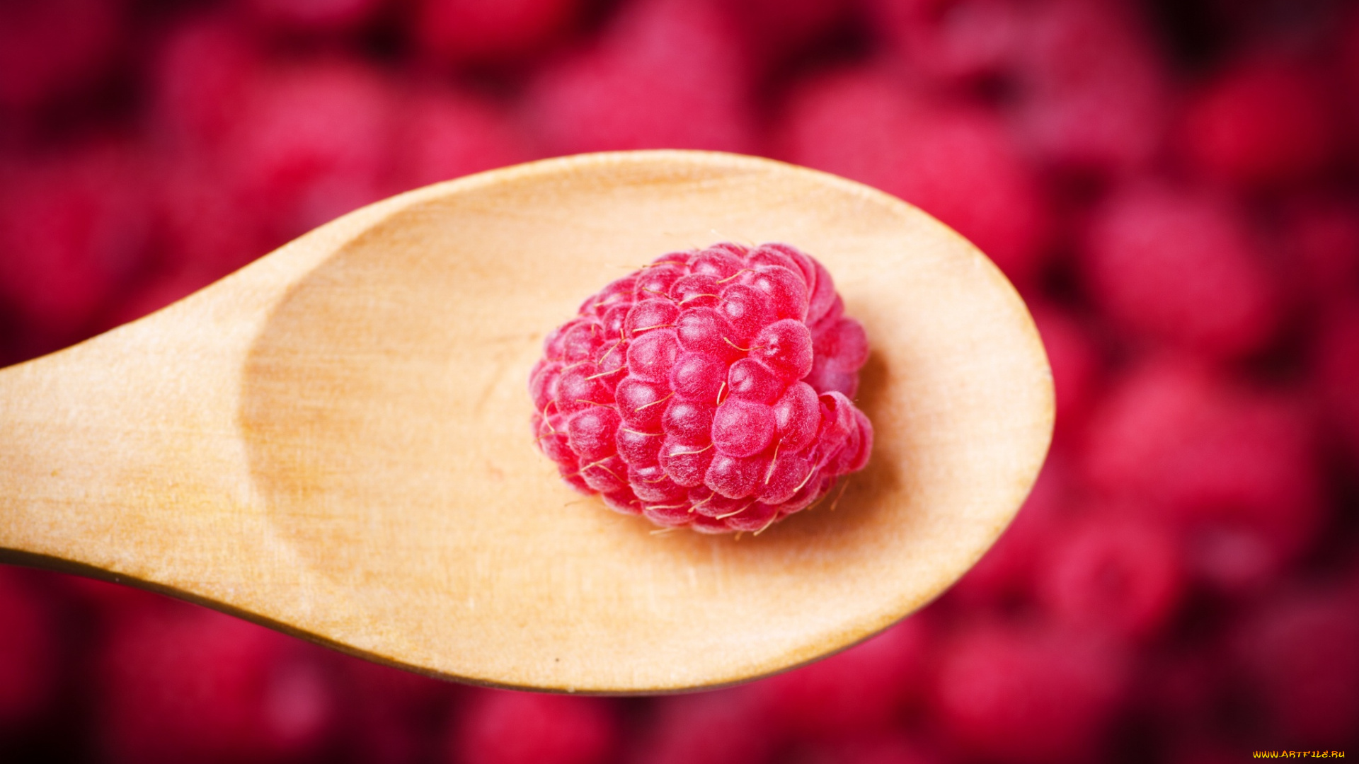 еда, малина, макро, ягода, ложка