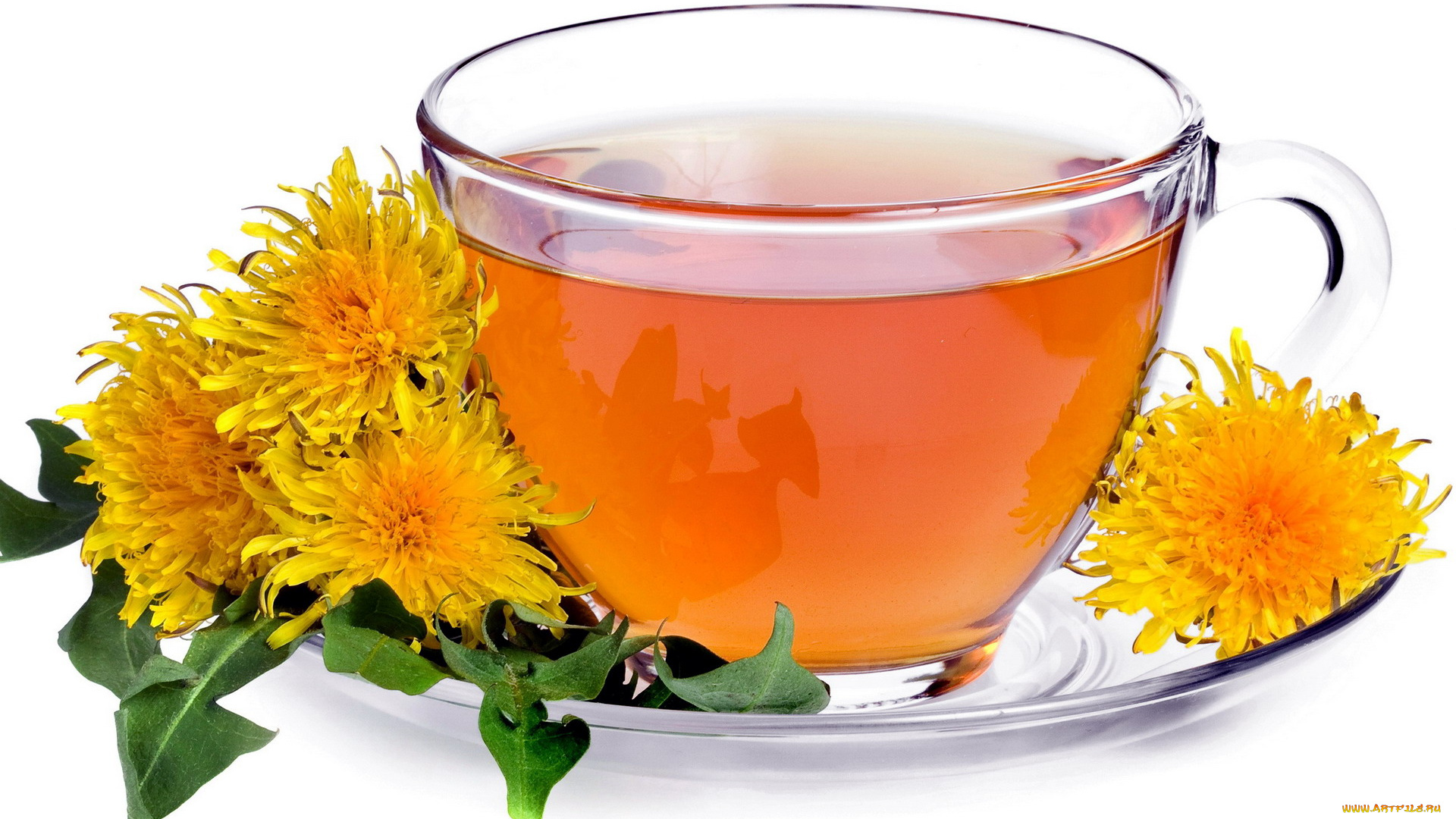 еда, напитки, , Чай, одуванчик