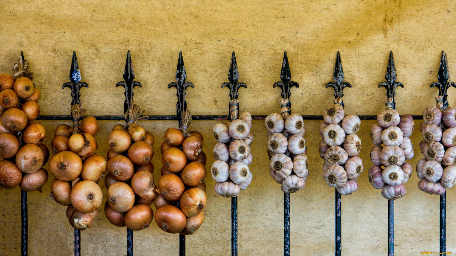 еда, овощи, чеснок, лук