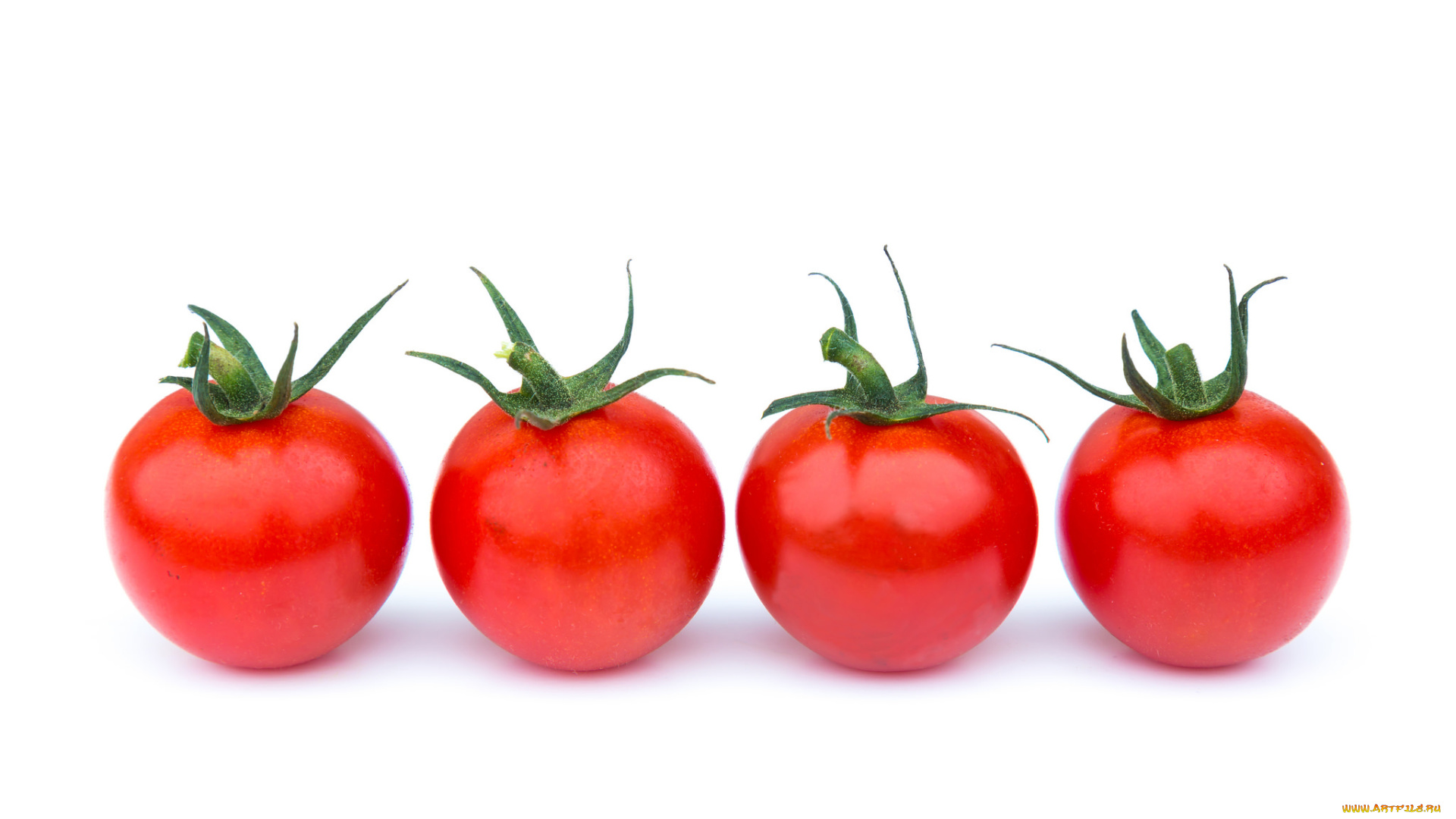 еда, помидоры, томаты