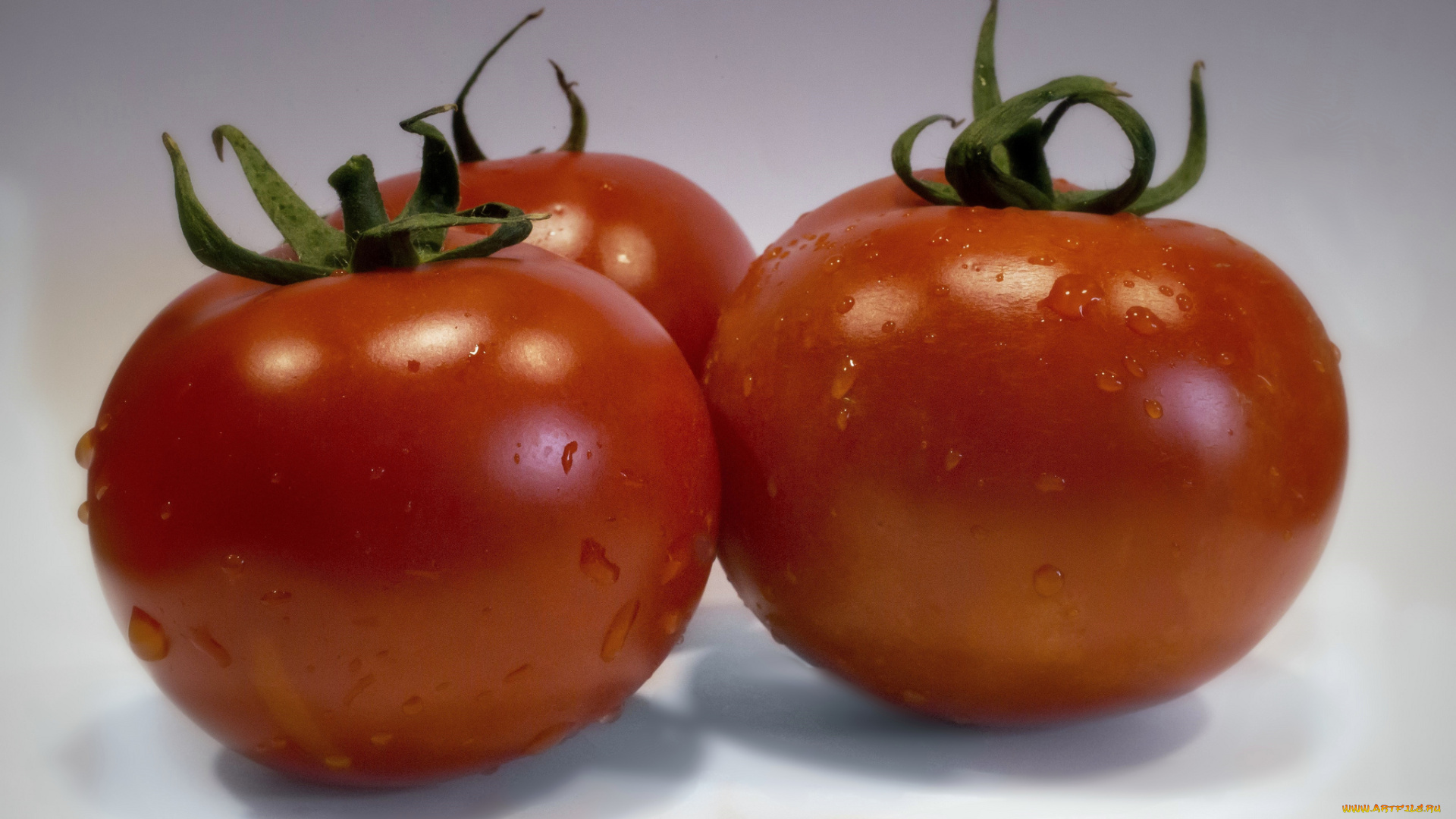 еда, помидоры, томаты