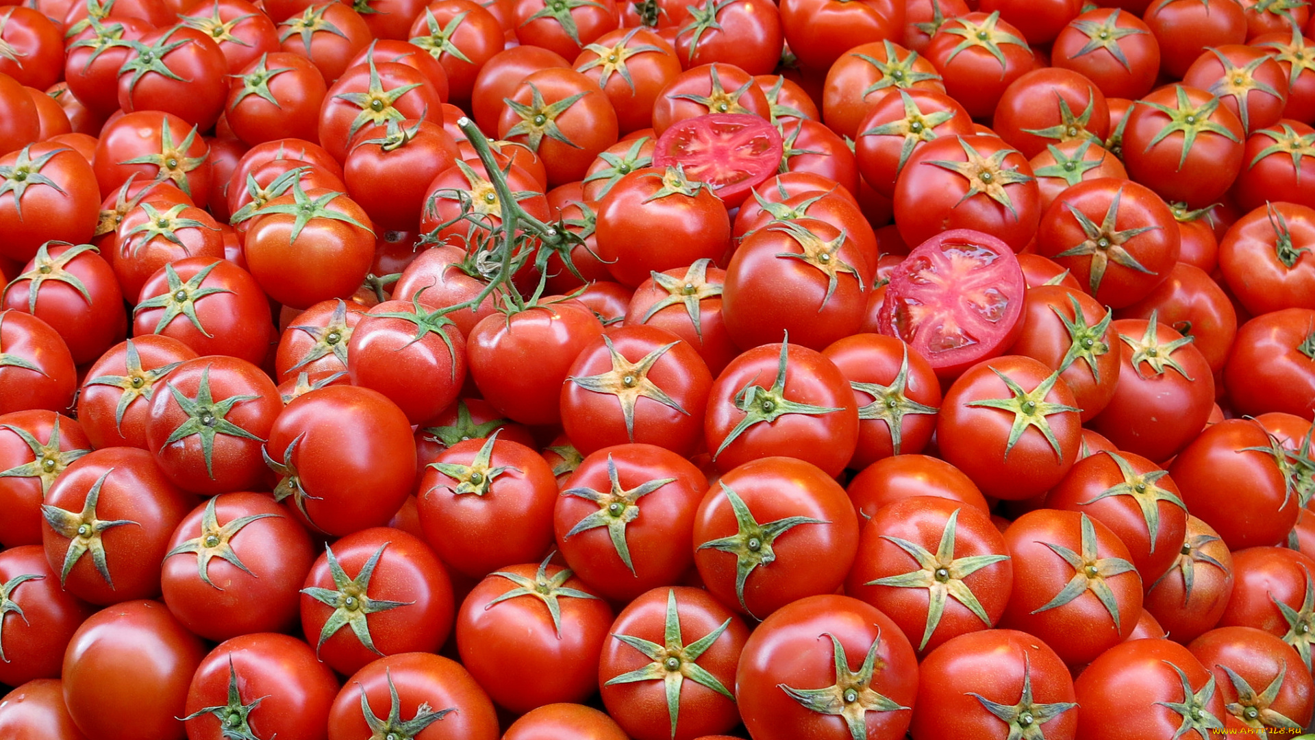 еда, помидоры, томаты