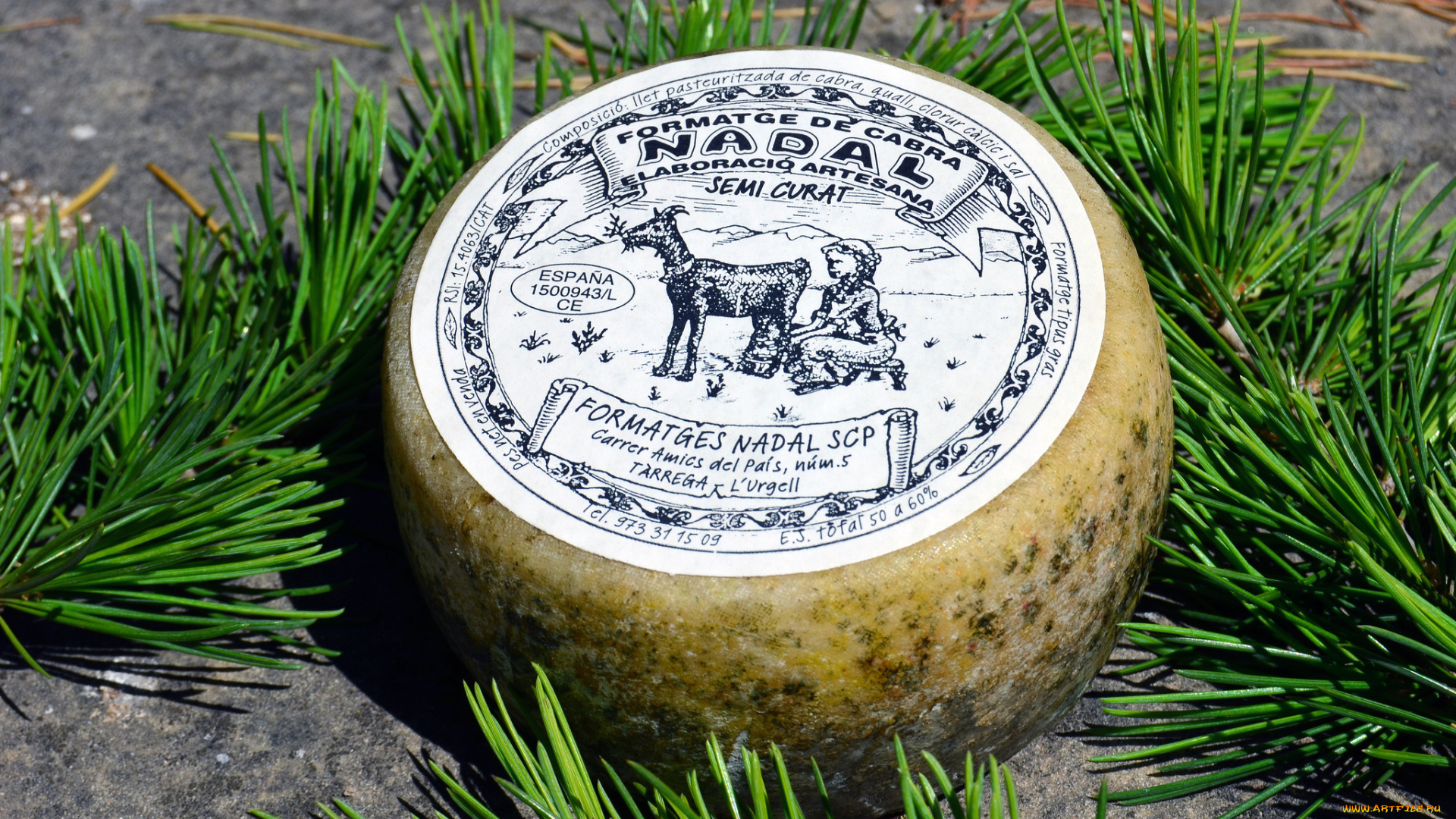 nadal, cabra, еда, сырные, изделия, сыр