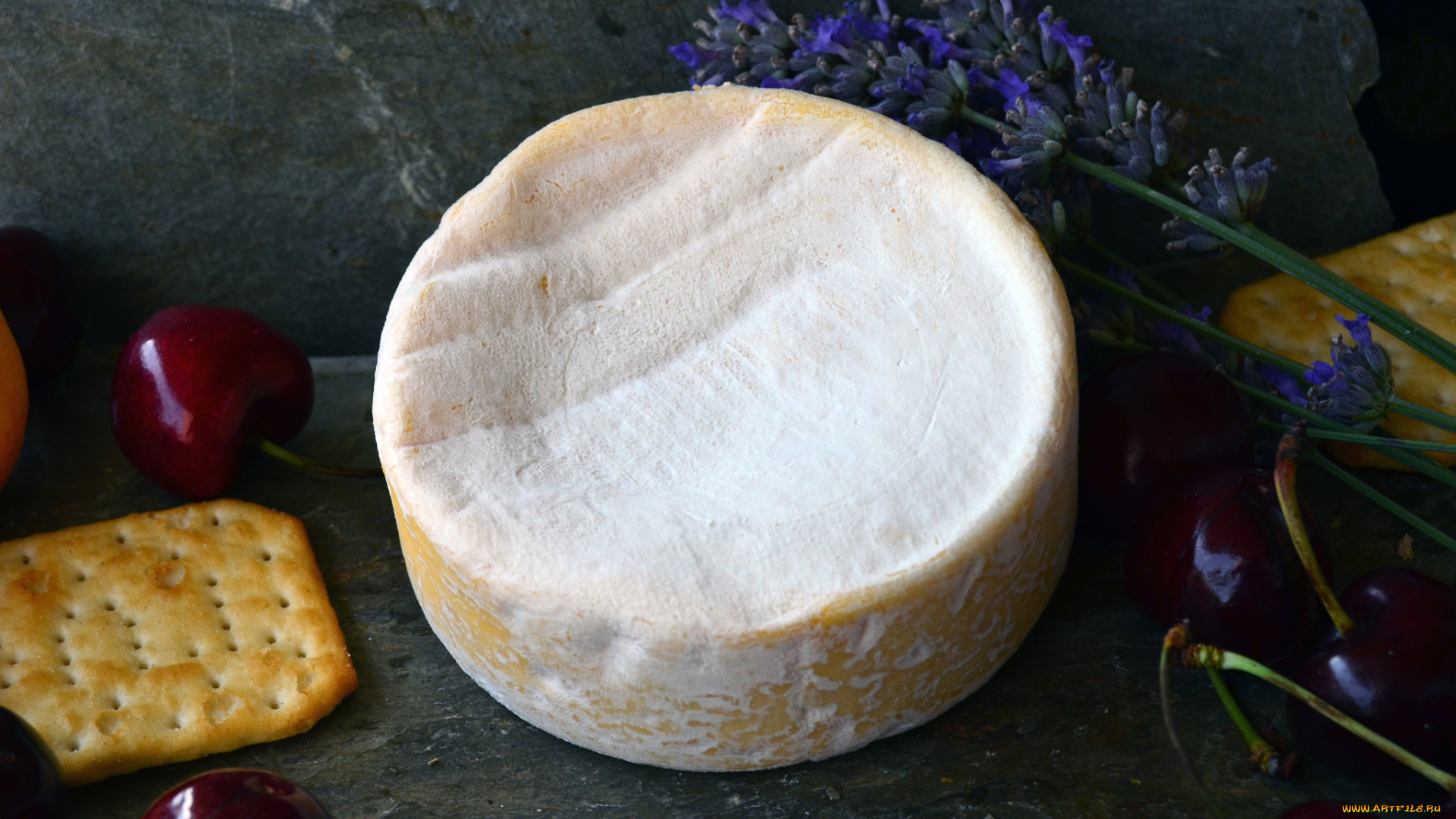 petit, sapin, еда, сырные, изделия, сыр