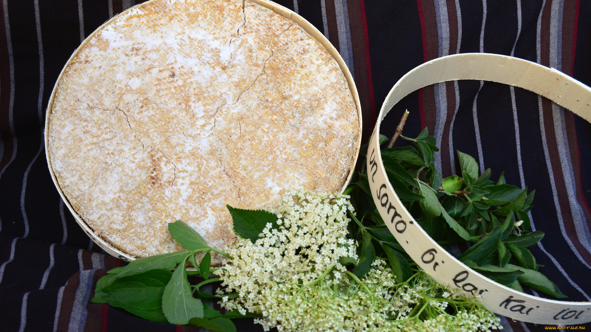 pla, еда, сырные, изделия, сыр