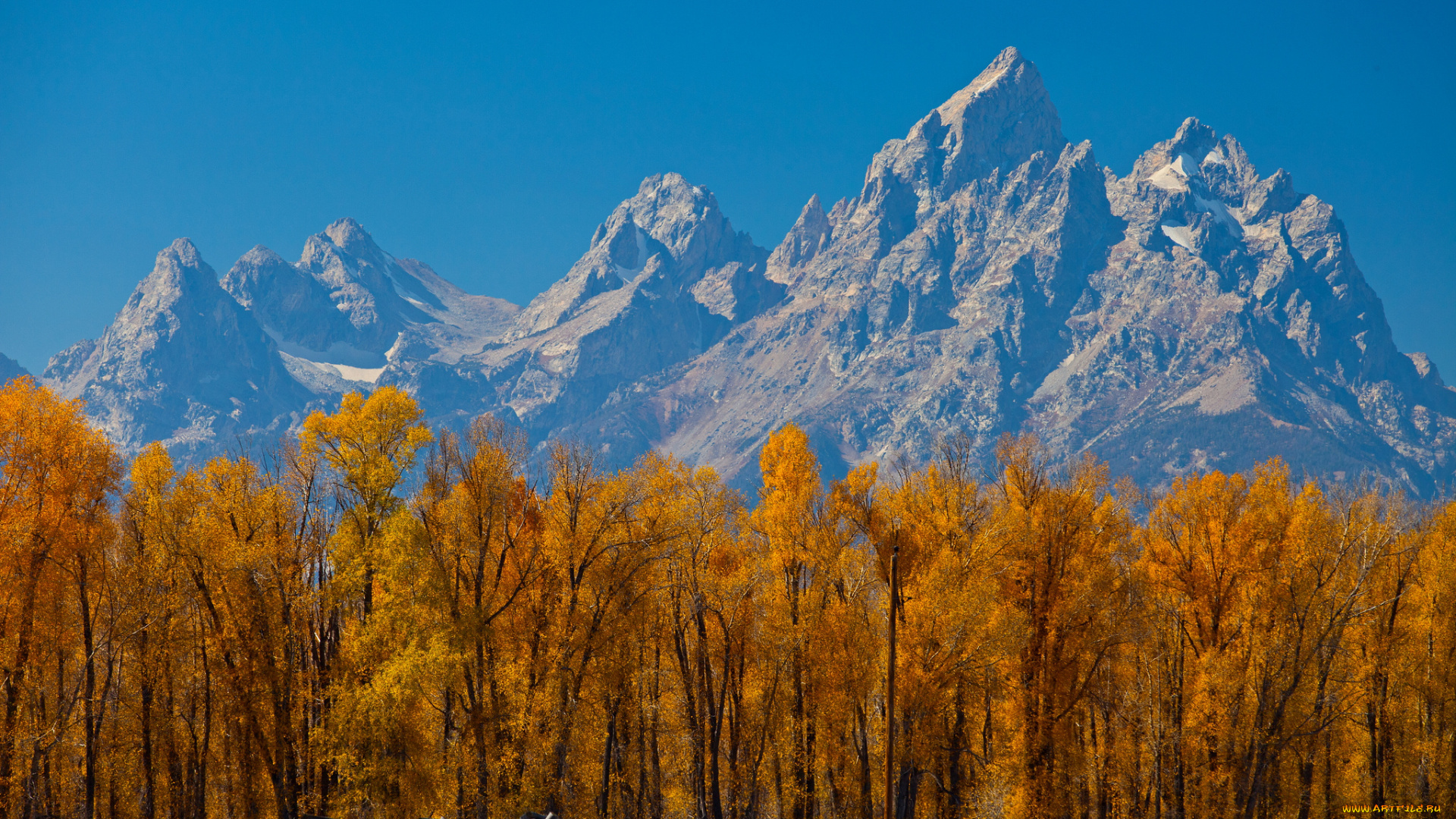 природа, горы, небо, осень, деревья, листья, забор