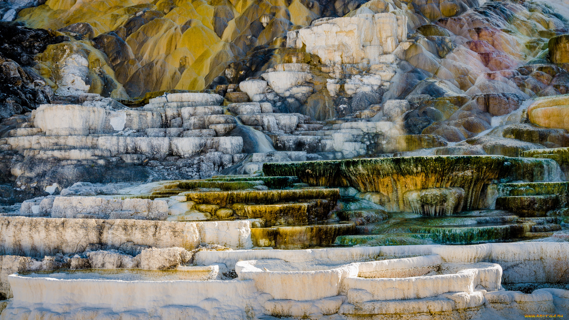 природа, горы, zion, national, park, юта, сша, скалы, деревья, осень, листья