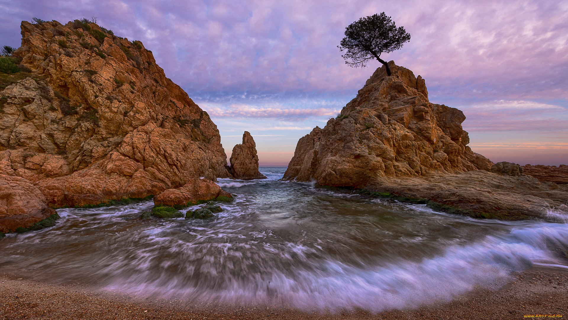 природа, побережье, испания, море, пляж, скалы, дерево