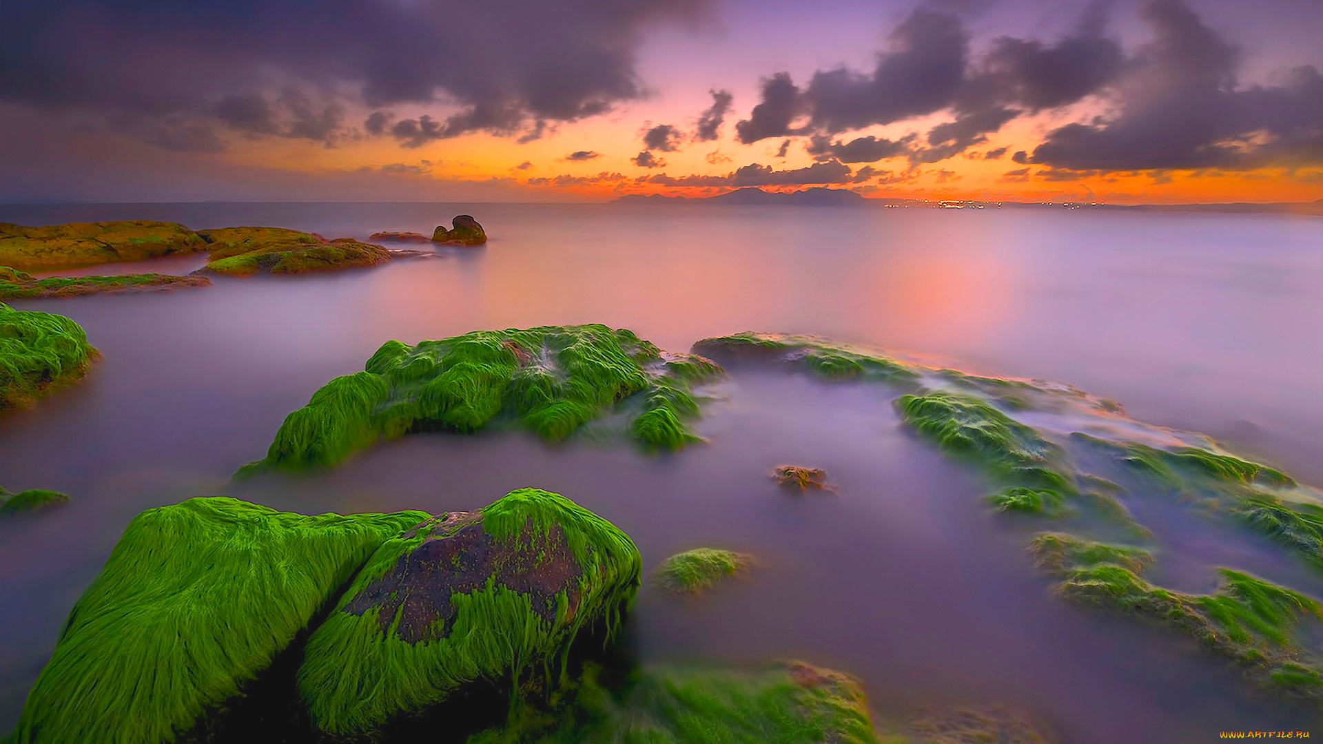 природа, побережье, небо, облака, закат, море, камни, водоросли