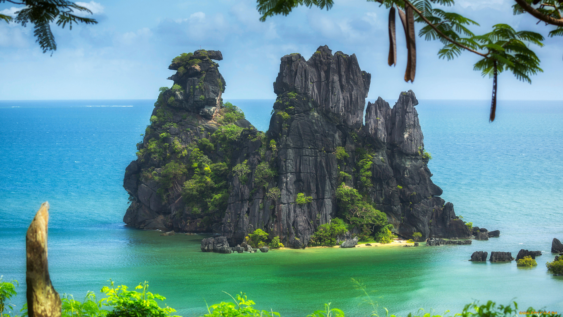 природа, побережье, тихий, океан, новая, каледония, ветки, деревья, остров, скалы