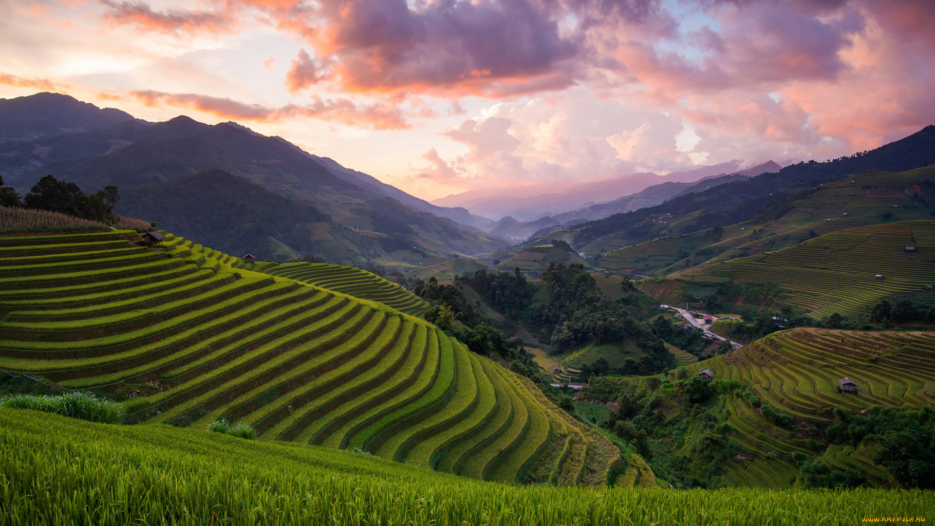 природа, поля, азия, вьетнам, рисовые, холмы