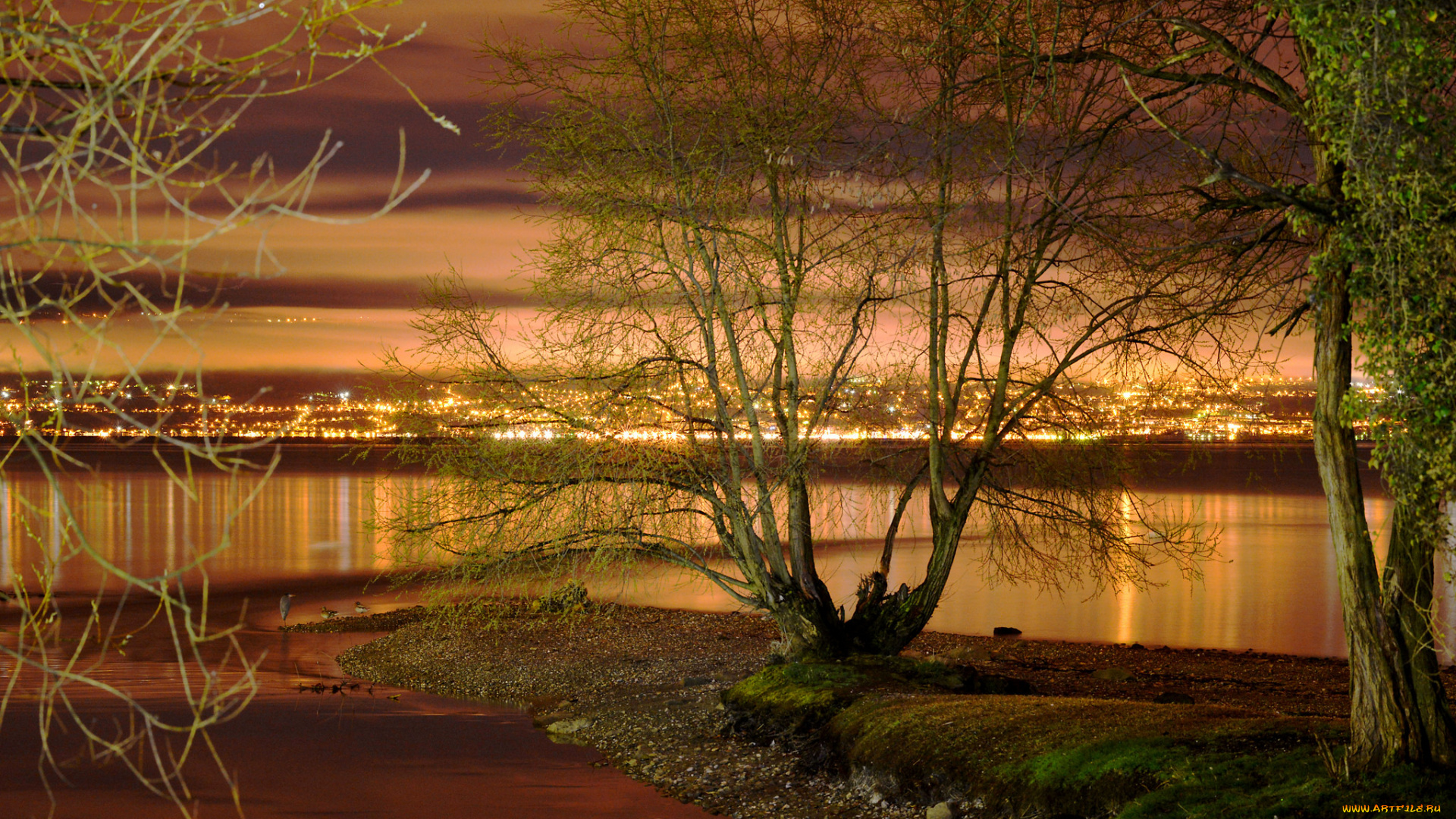 природа, реки, озера, ночь, небо, деревья
