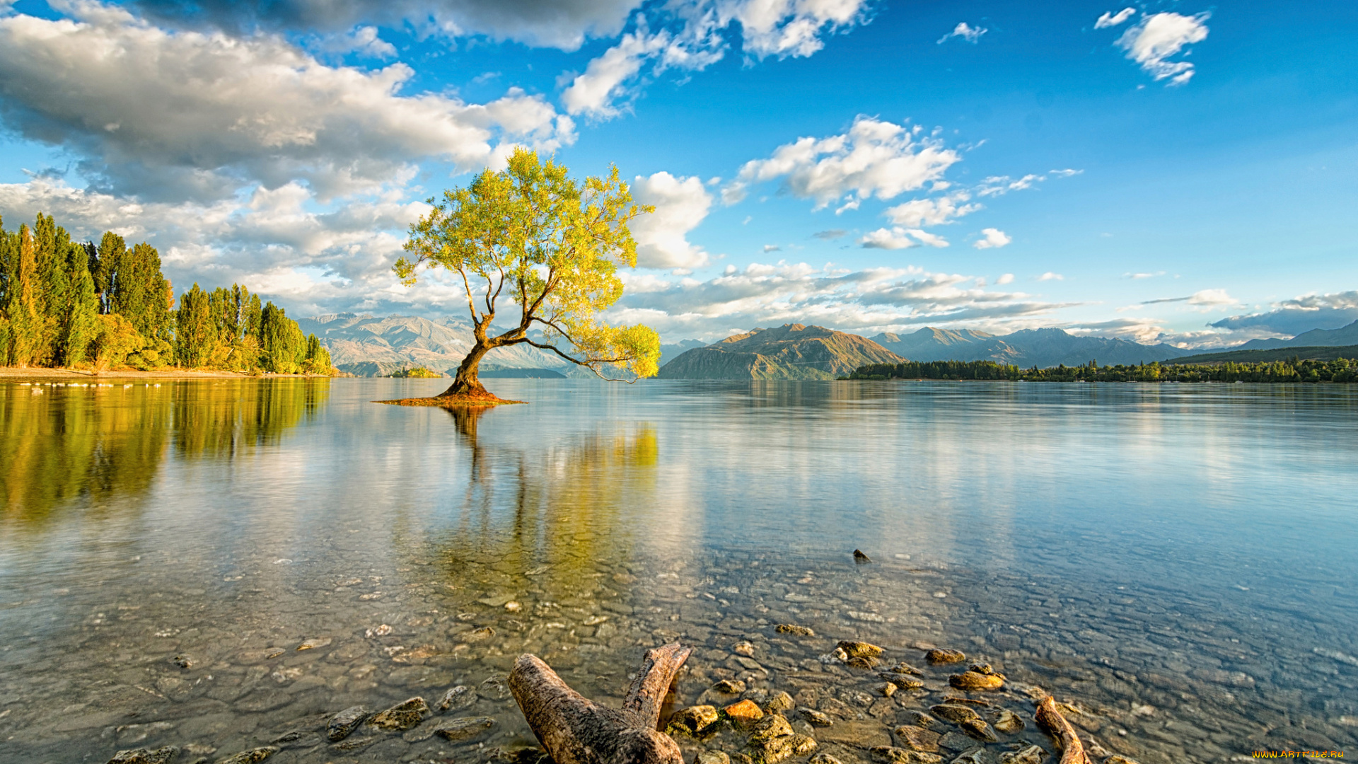 природа, реки, озера, новая, зеландия, остров, южный, озеро, уанака, дерево, небо, облака