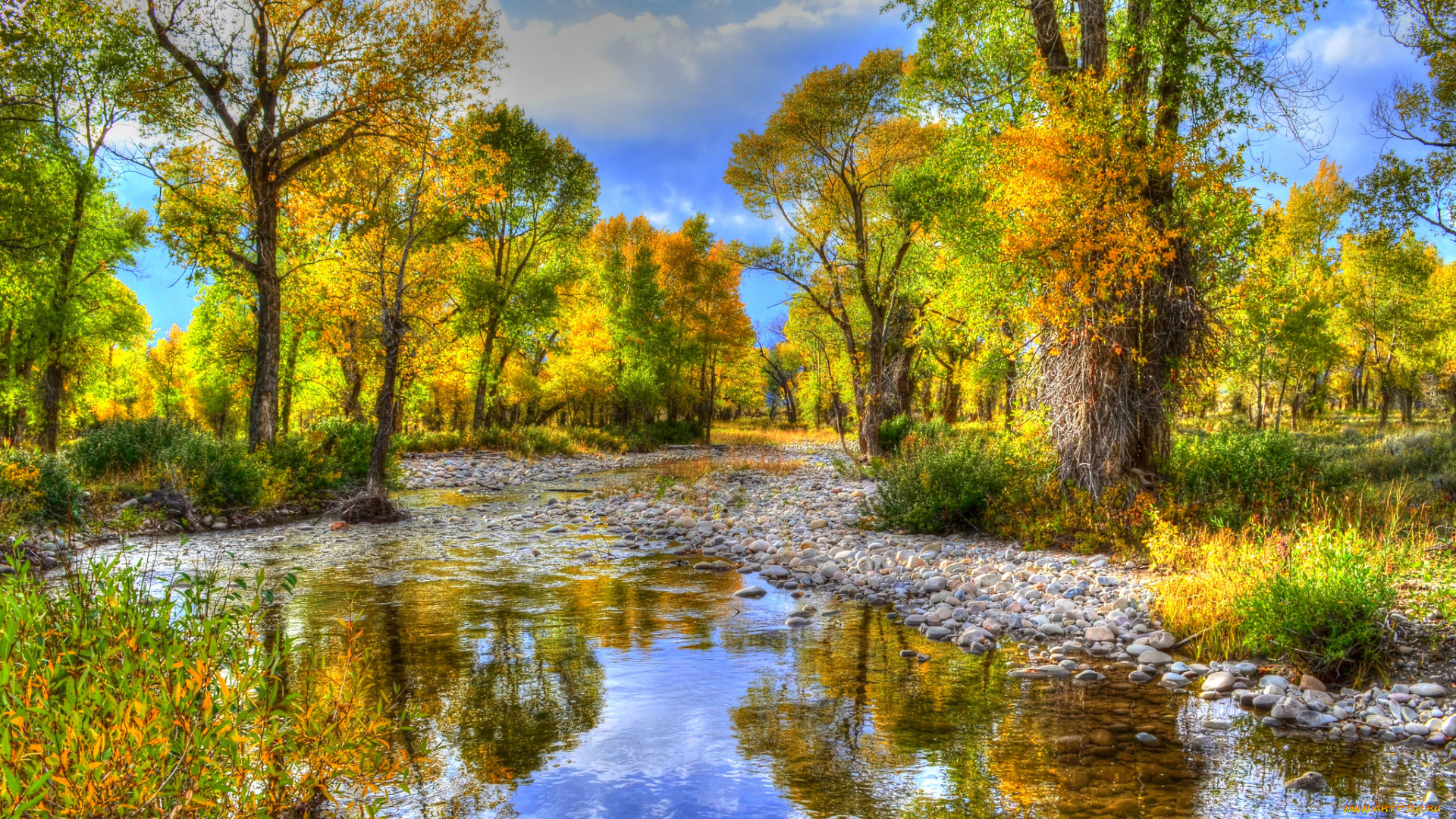 природа, реки, озера, река, лес