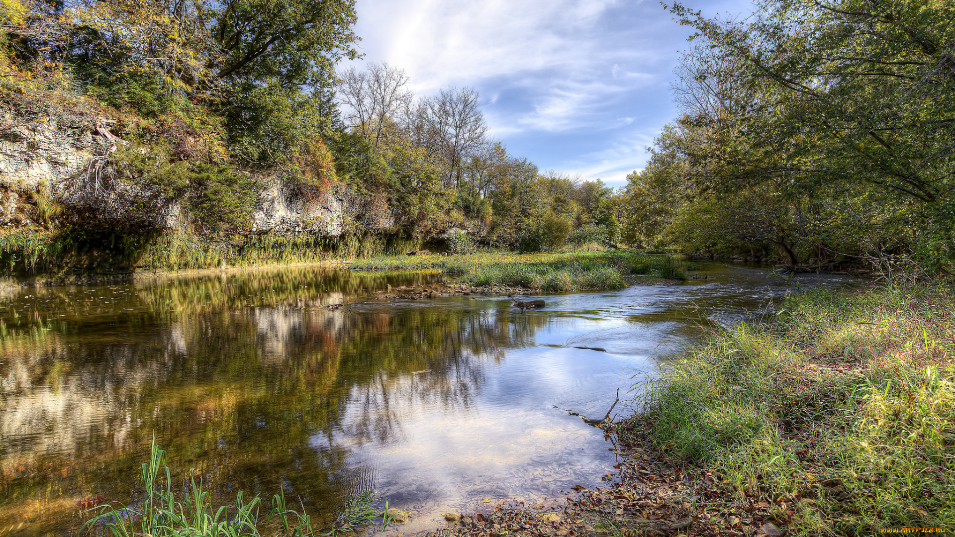 природа, реки, озера, река, лес