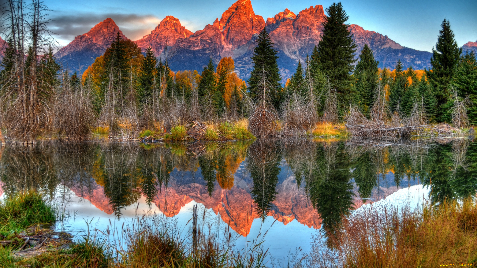 природа, реки, озера, река, лес, горы