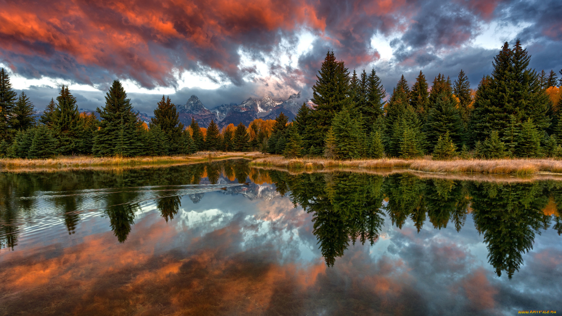 природа, реки, озера, schwabachers, landing, национальный, парк, гранд-титон, вайоминг, сша, горы, лес, река, снейк, утро, утки, отражения, небо, облака