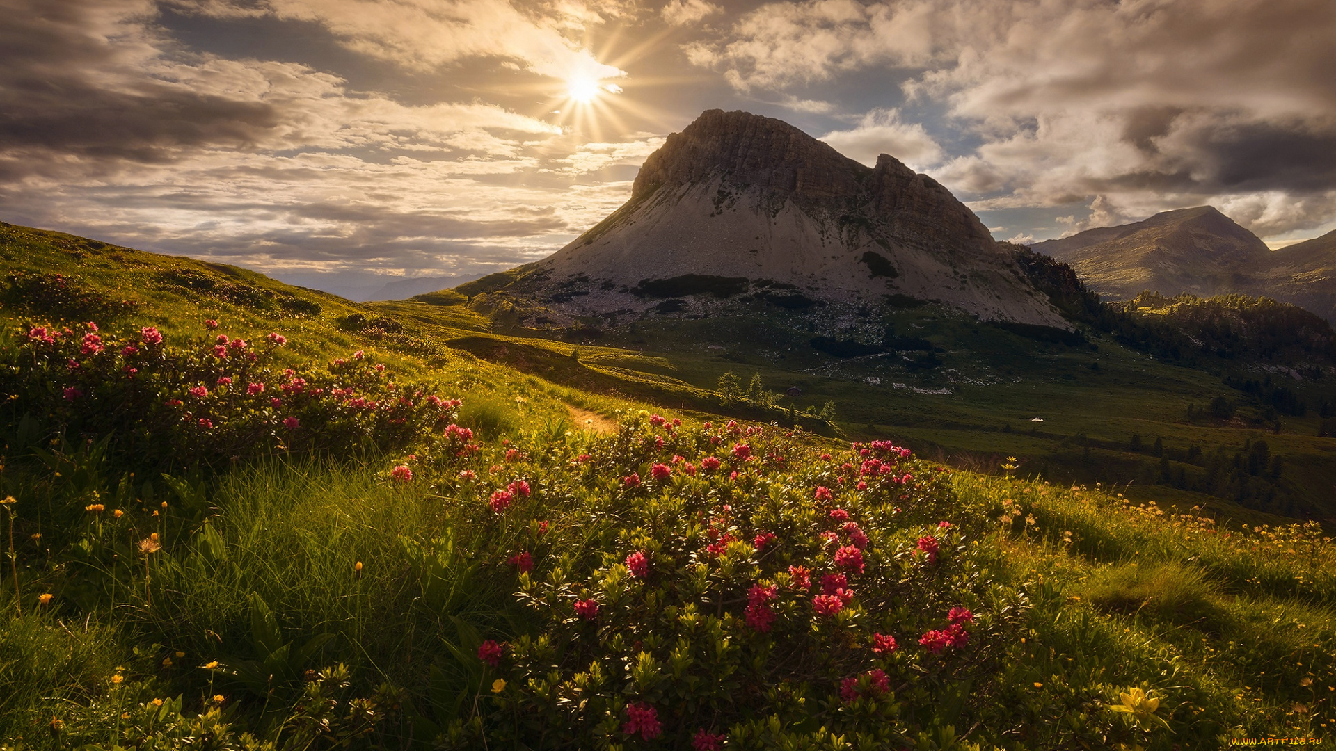 природа, восходы, закаты, трава, цветы, облака, небо, солнце, альпы, горы, италия