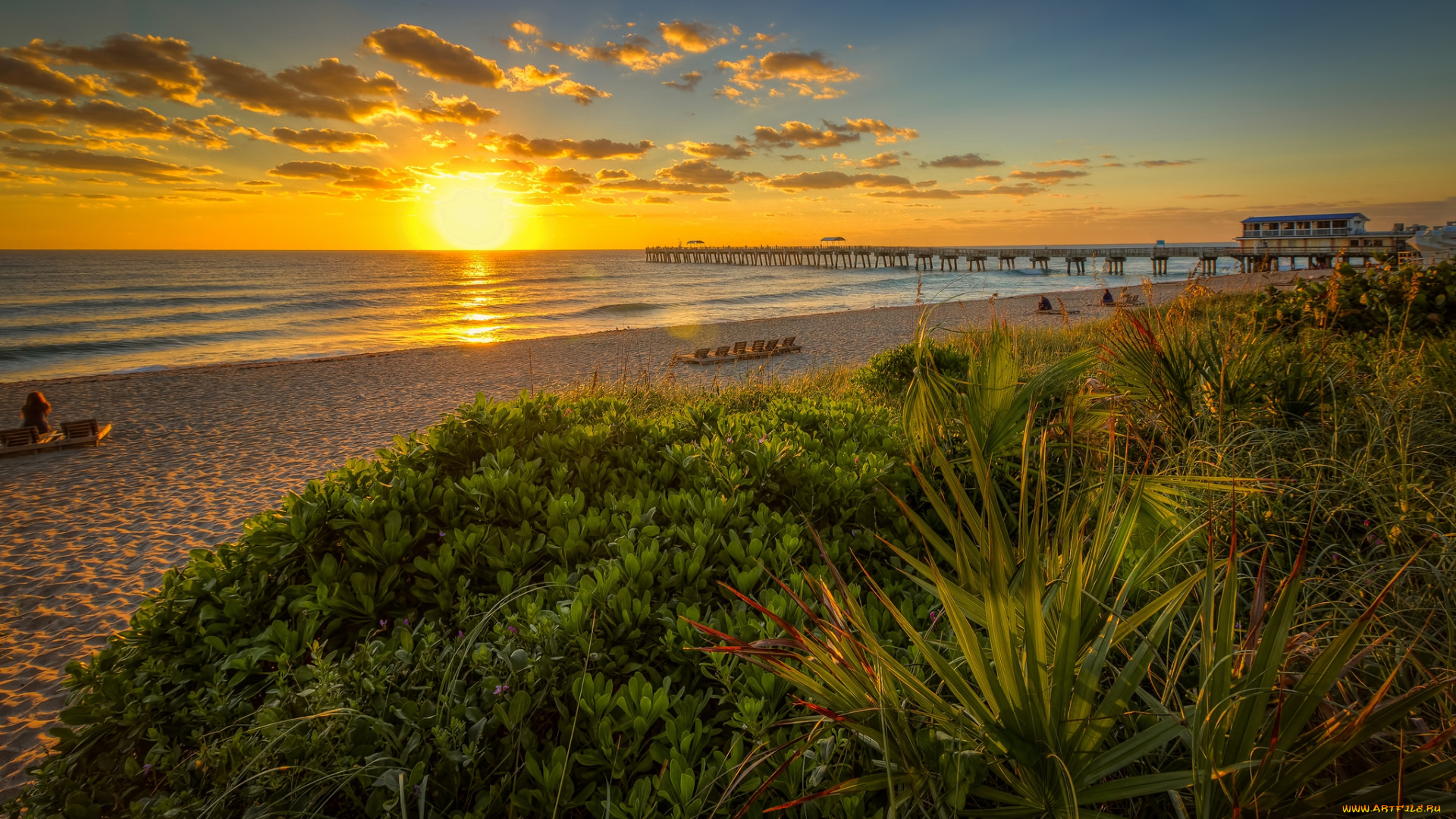 природа, восходы, закаты, заря, солнце