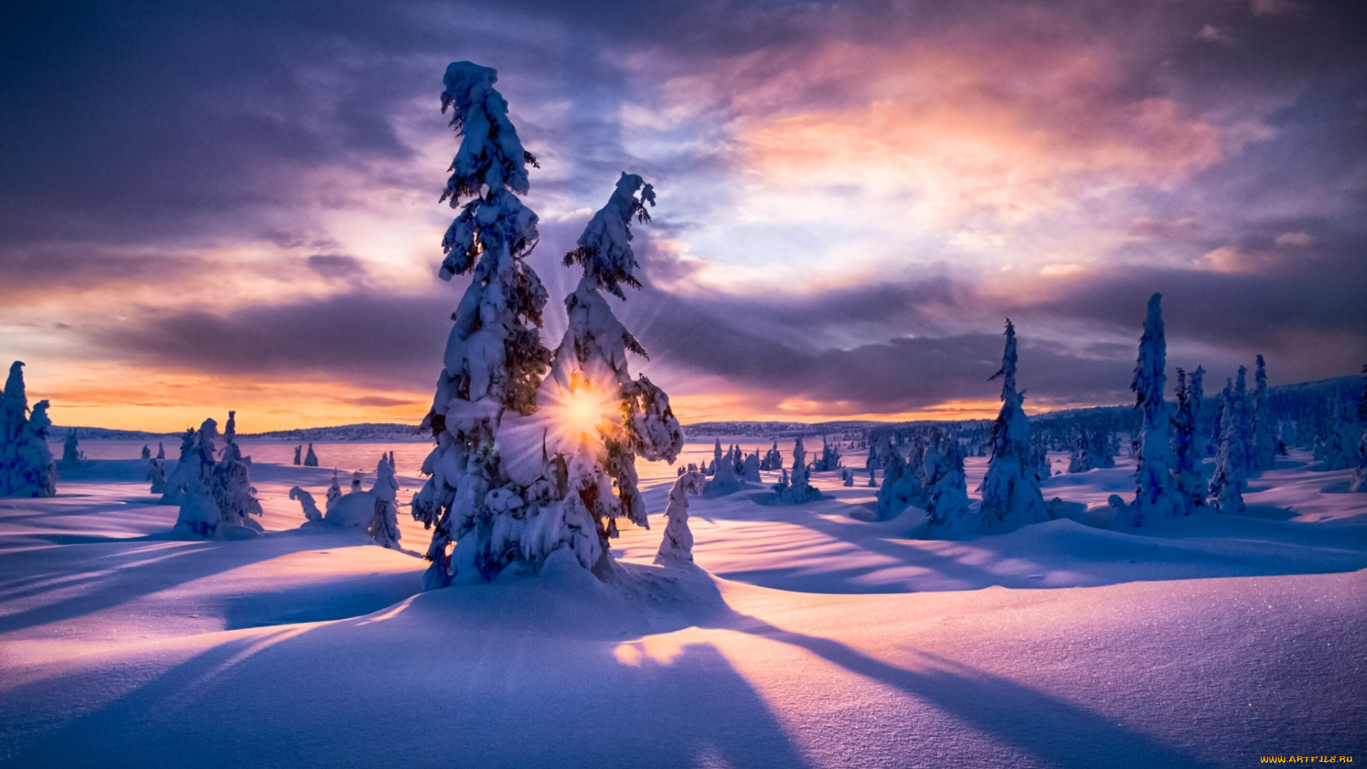 природа, зима, лес, рассвет, снег