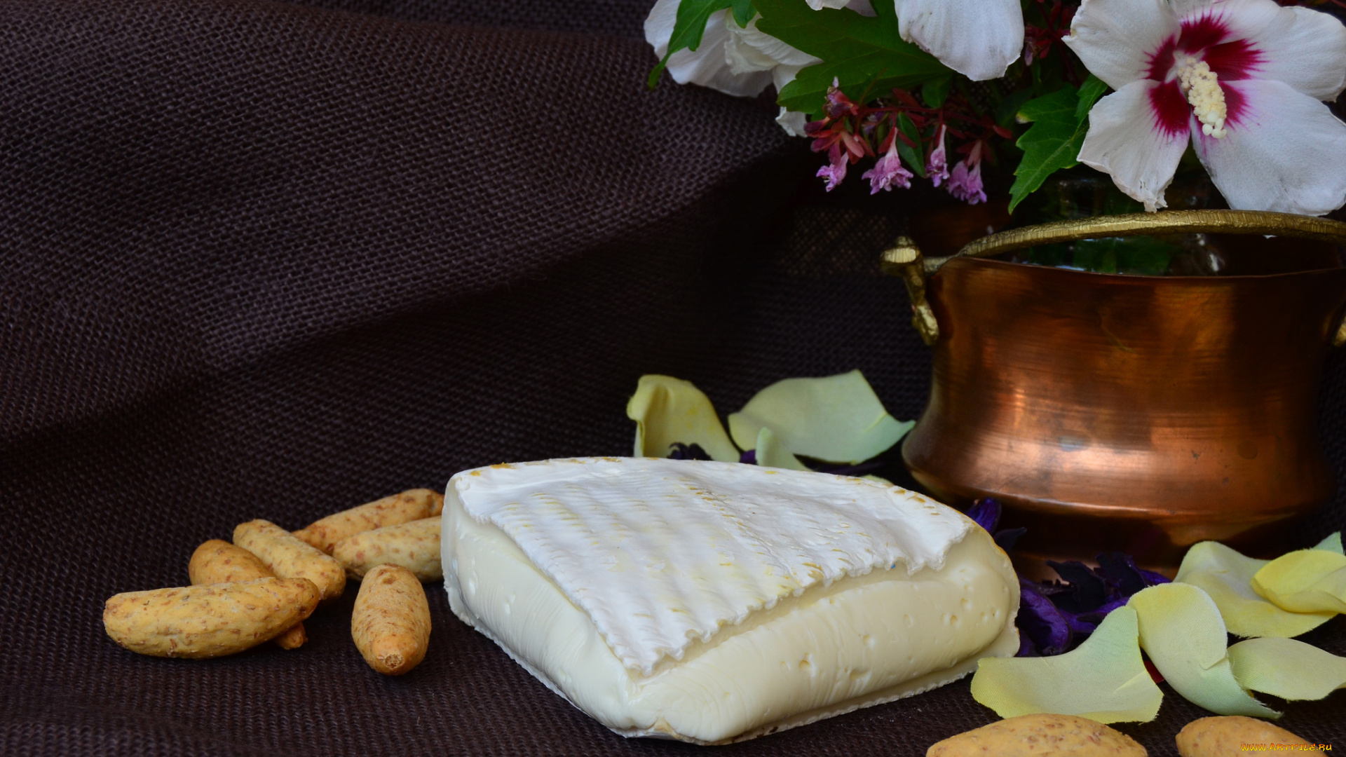 scimudin, еда, сырные, изделия, сыр