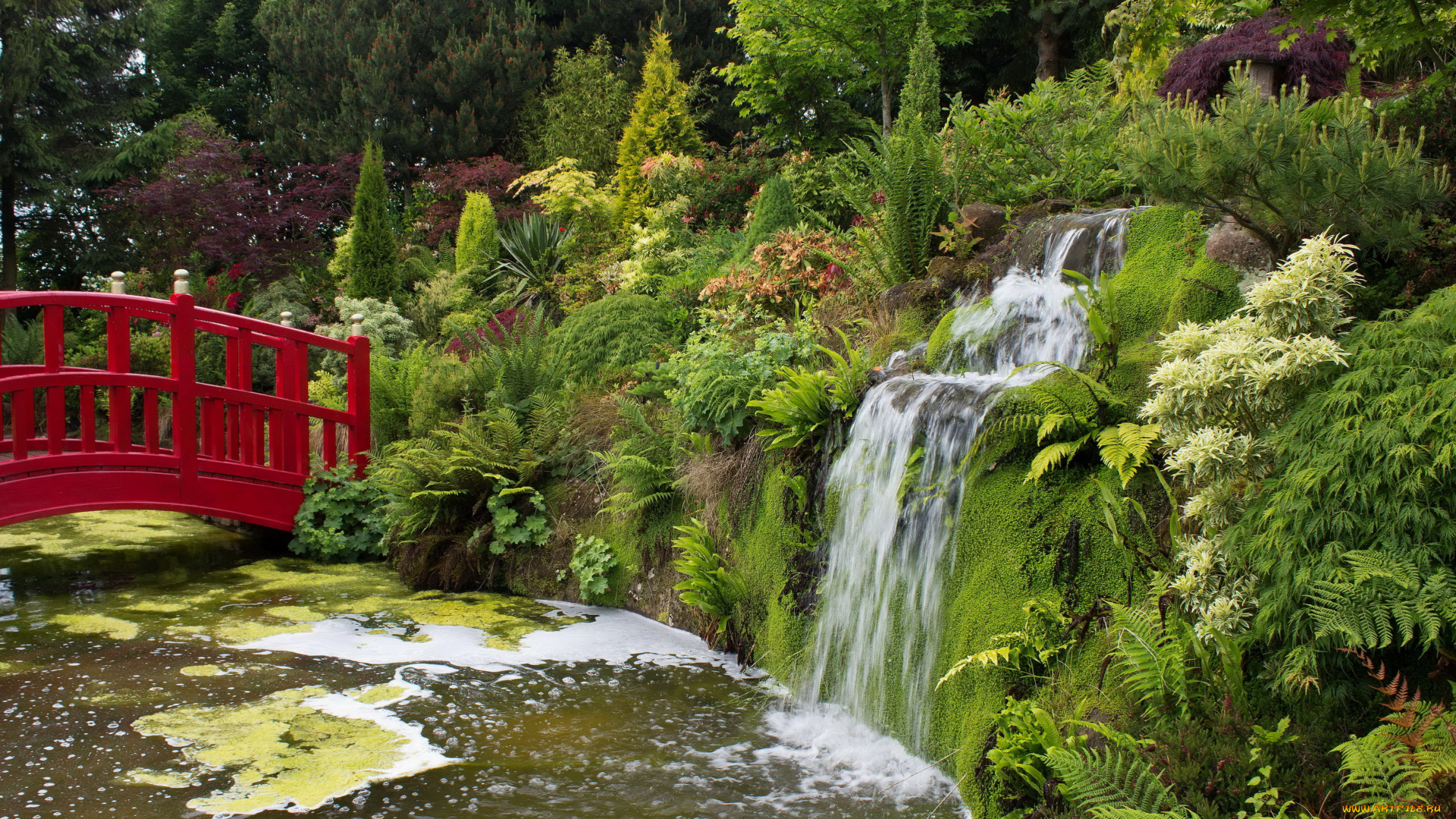 великобритания, mount, pleasant, gardens, природа, парк, великобритания, gardens, река, мостик, водопад, кусты