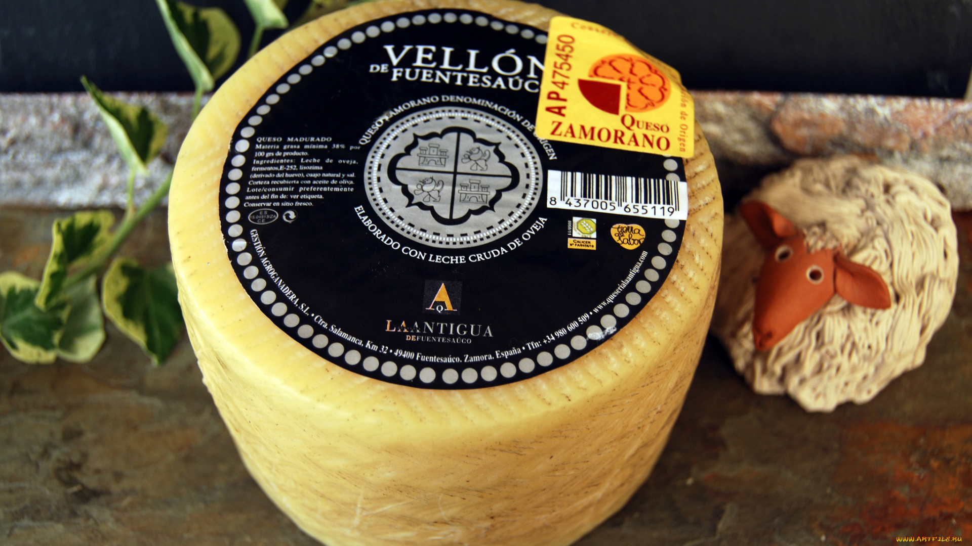 vell&, 243, n, de, fuentesa&, 250, co, еда, сырные, изделия, сыр