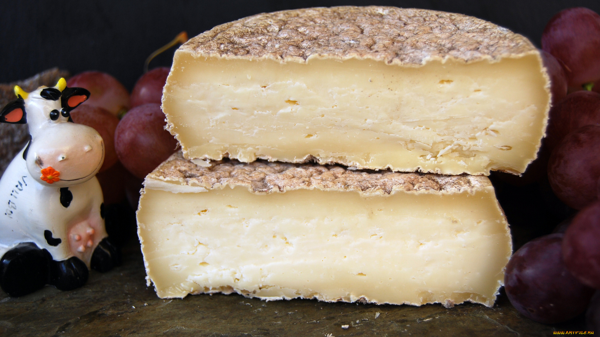 vellut, еда, сырные, изделия, сыр