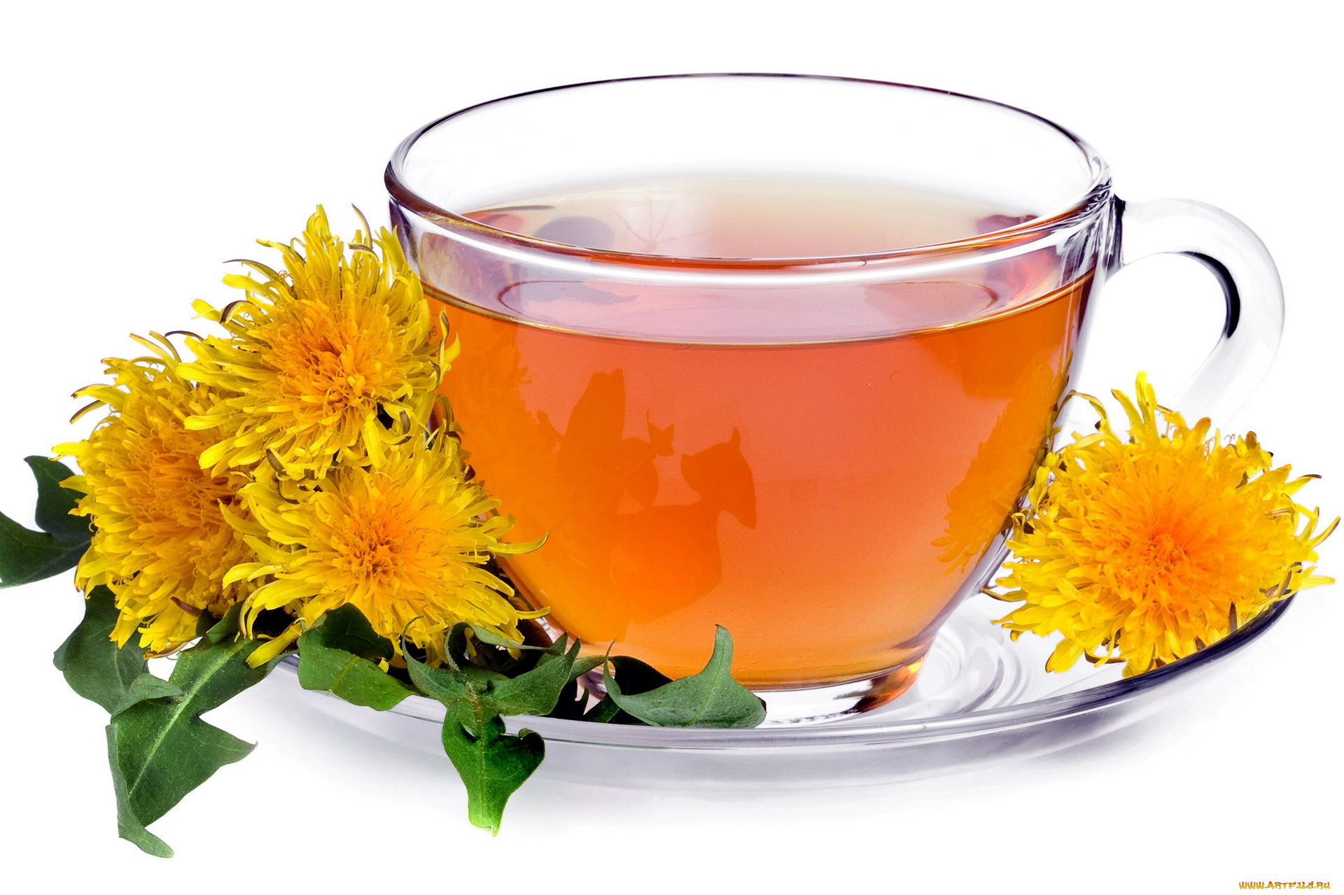 еда, напитки, , Чай, одуванчик