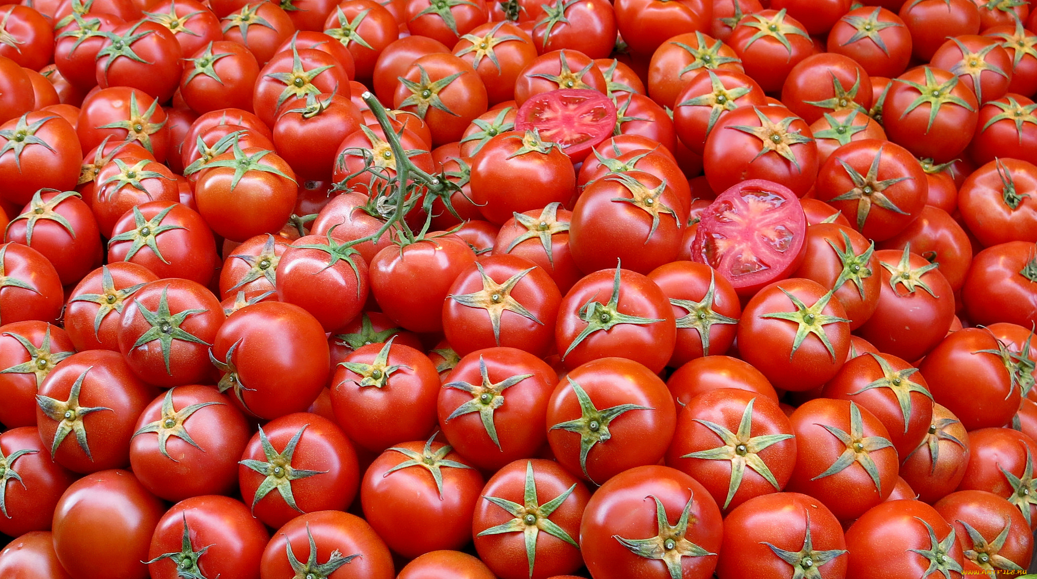еда, помидоры, томаты