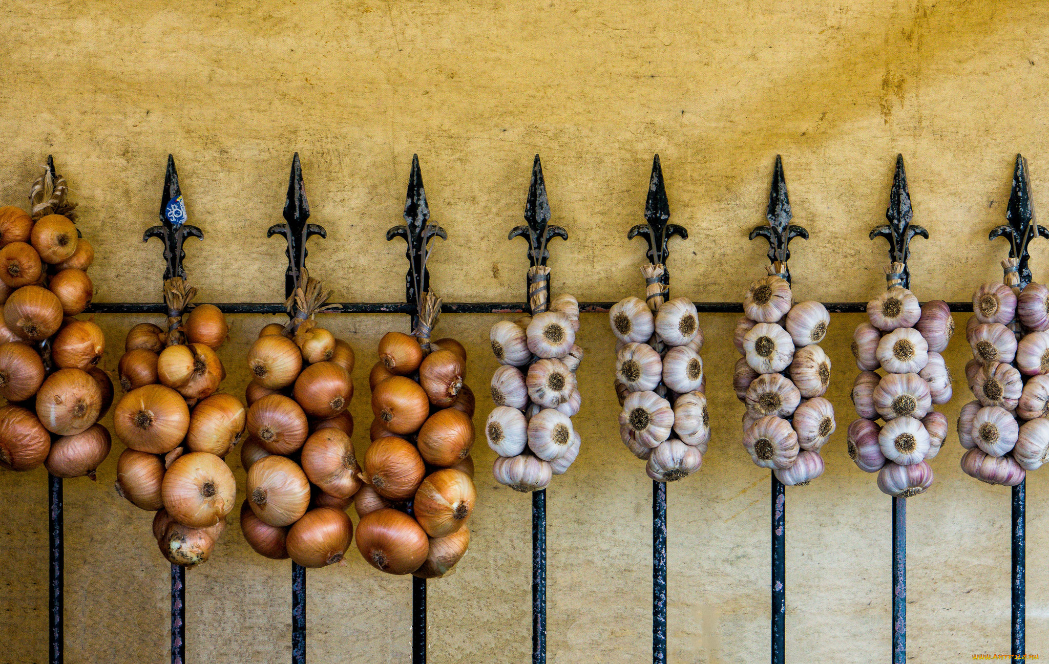 еда, овощи, чеснок, лук