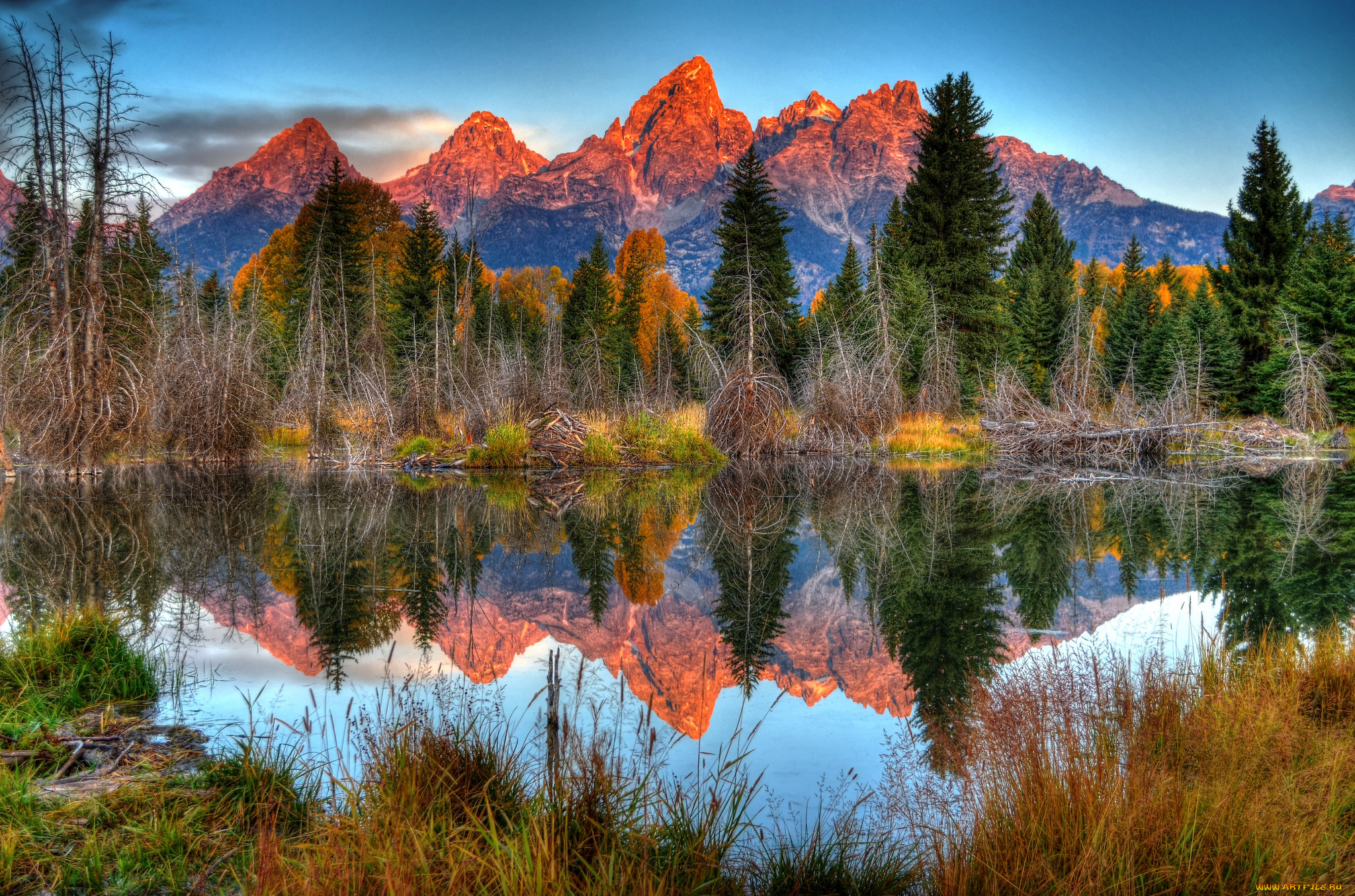 природа, реки, озера, река, лес, горы