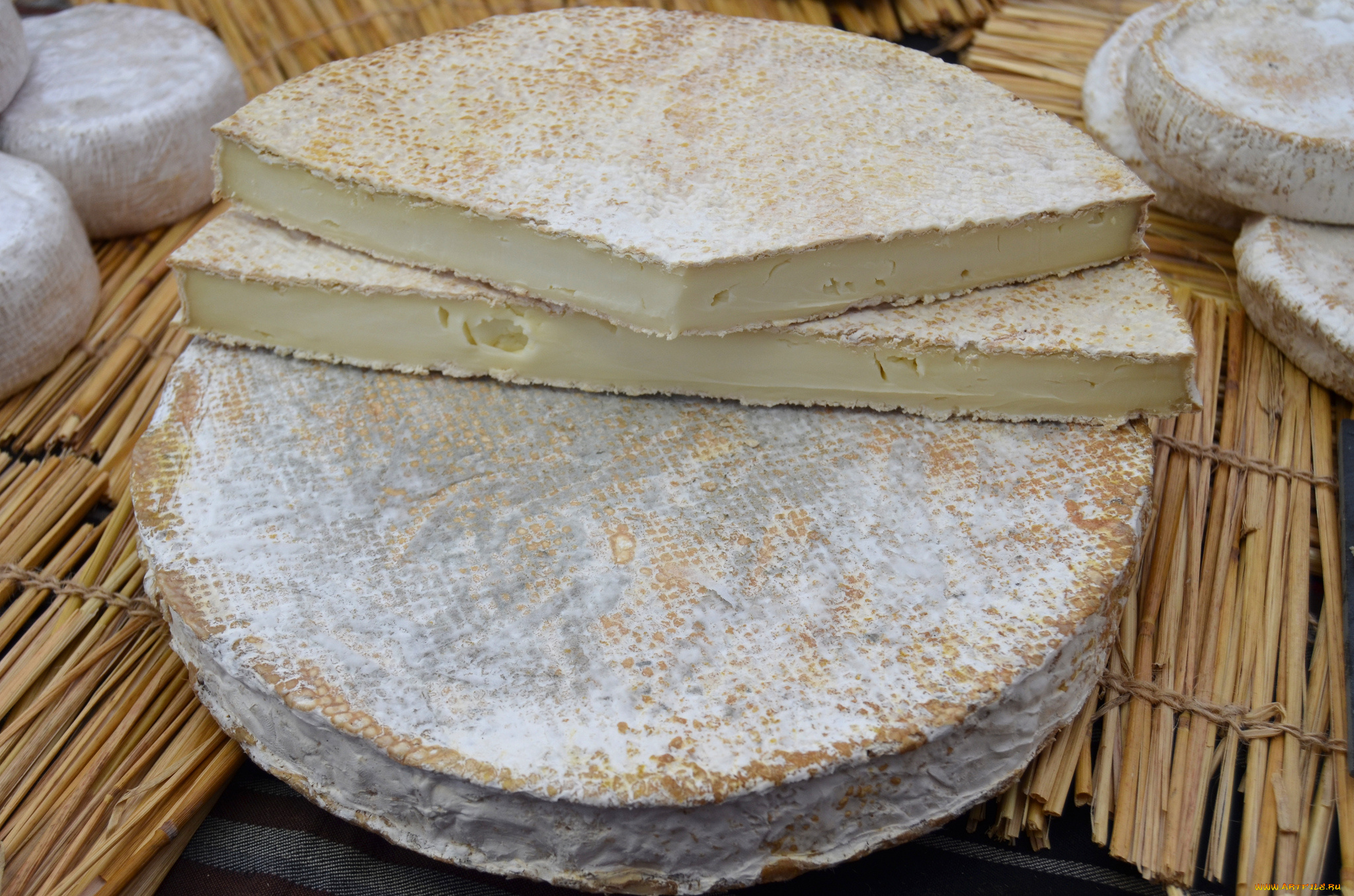 pla, еда, сырные, изделия, сыр