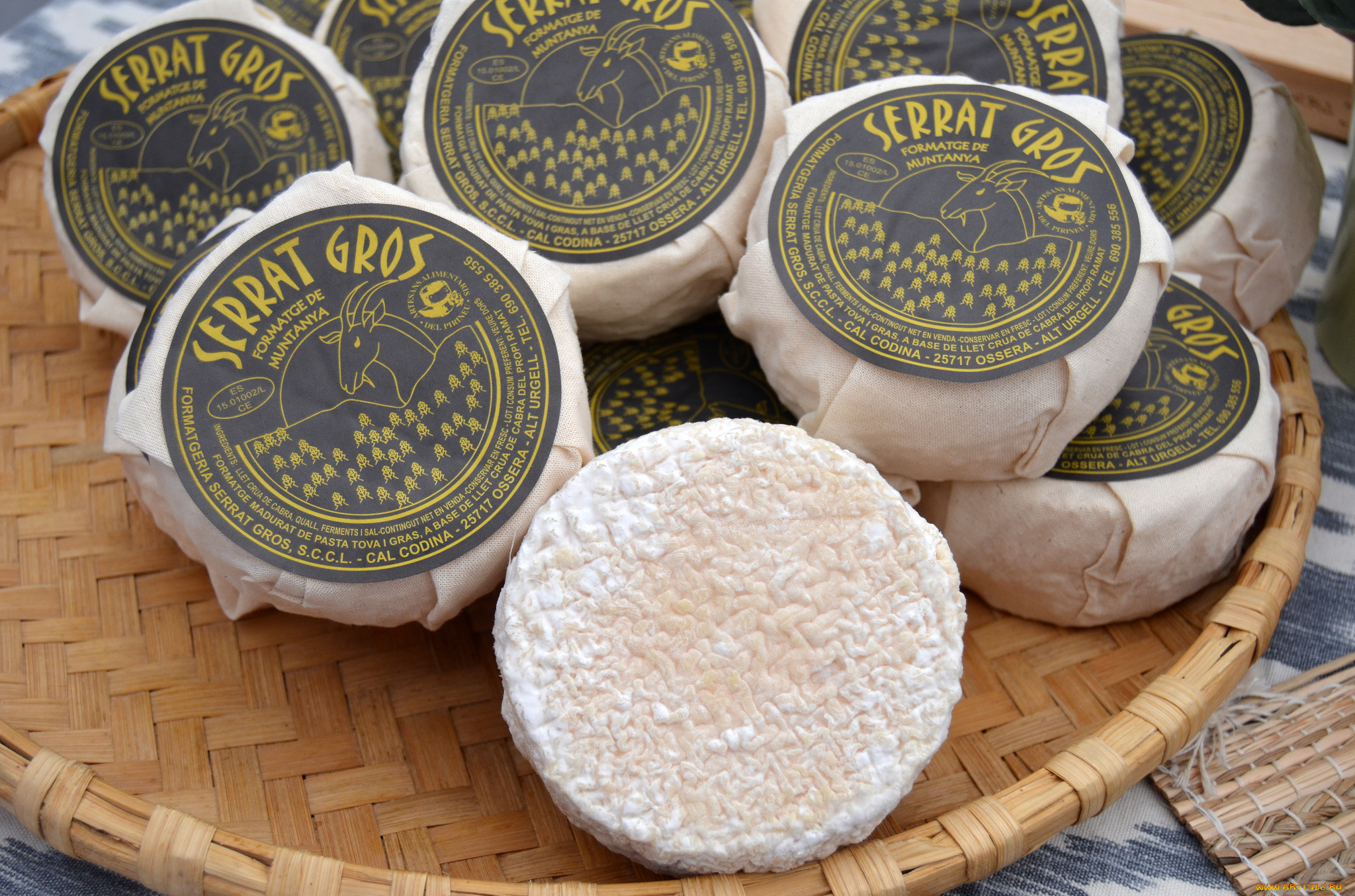 serrat, gros, еда, сырные, изделия, сыр