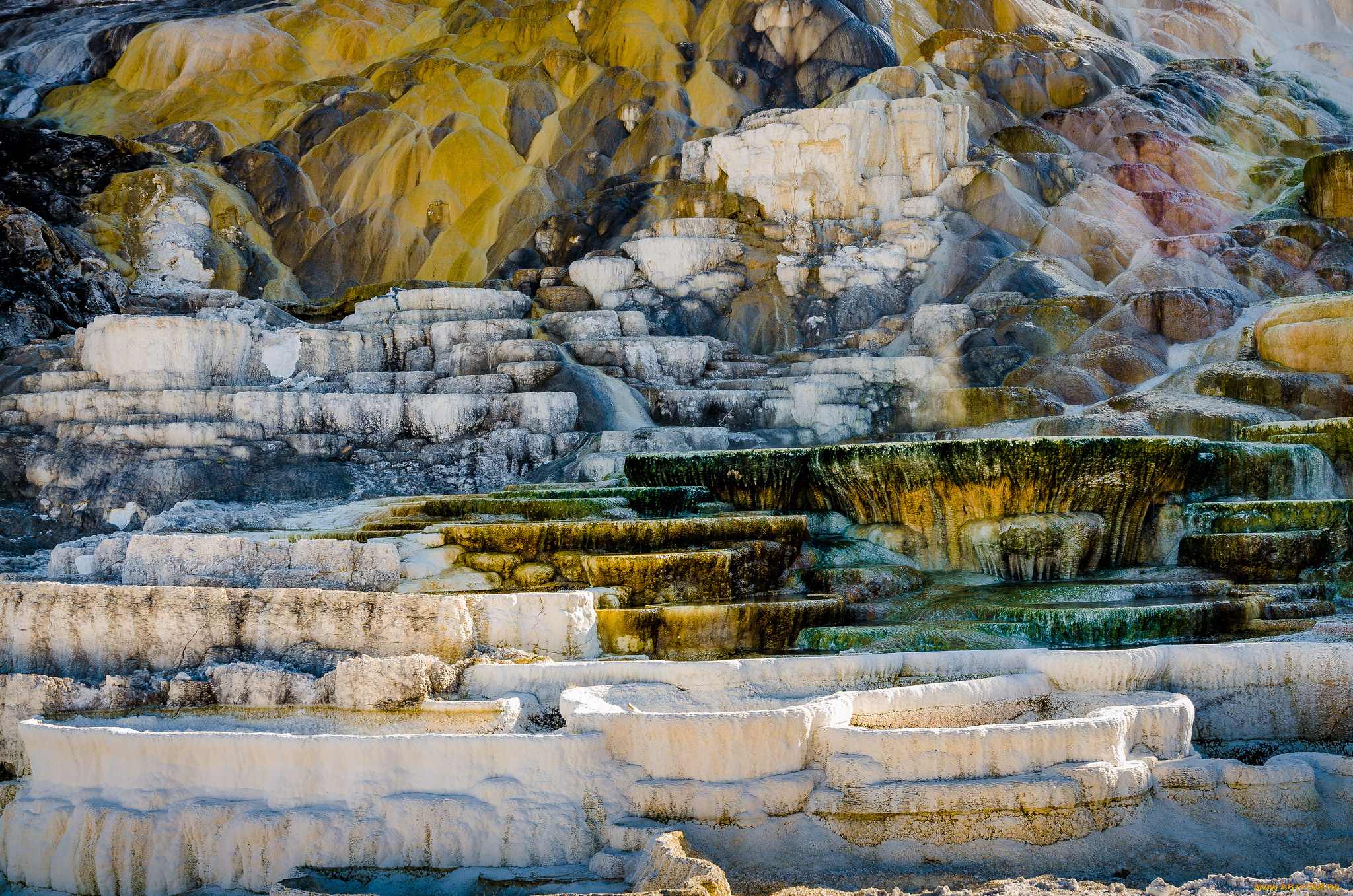 природа, горы, zion, national, park, юта, сша, скалы, деревья, осень, листья
