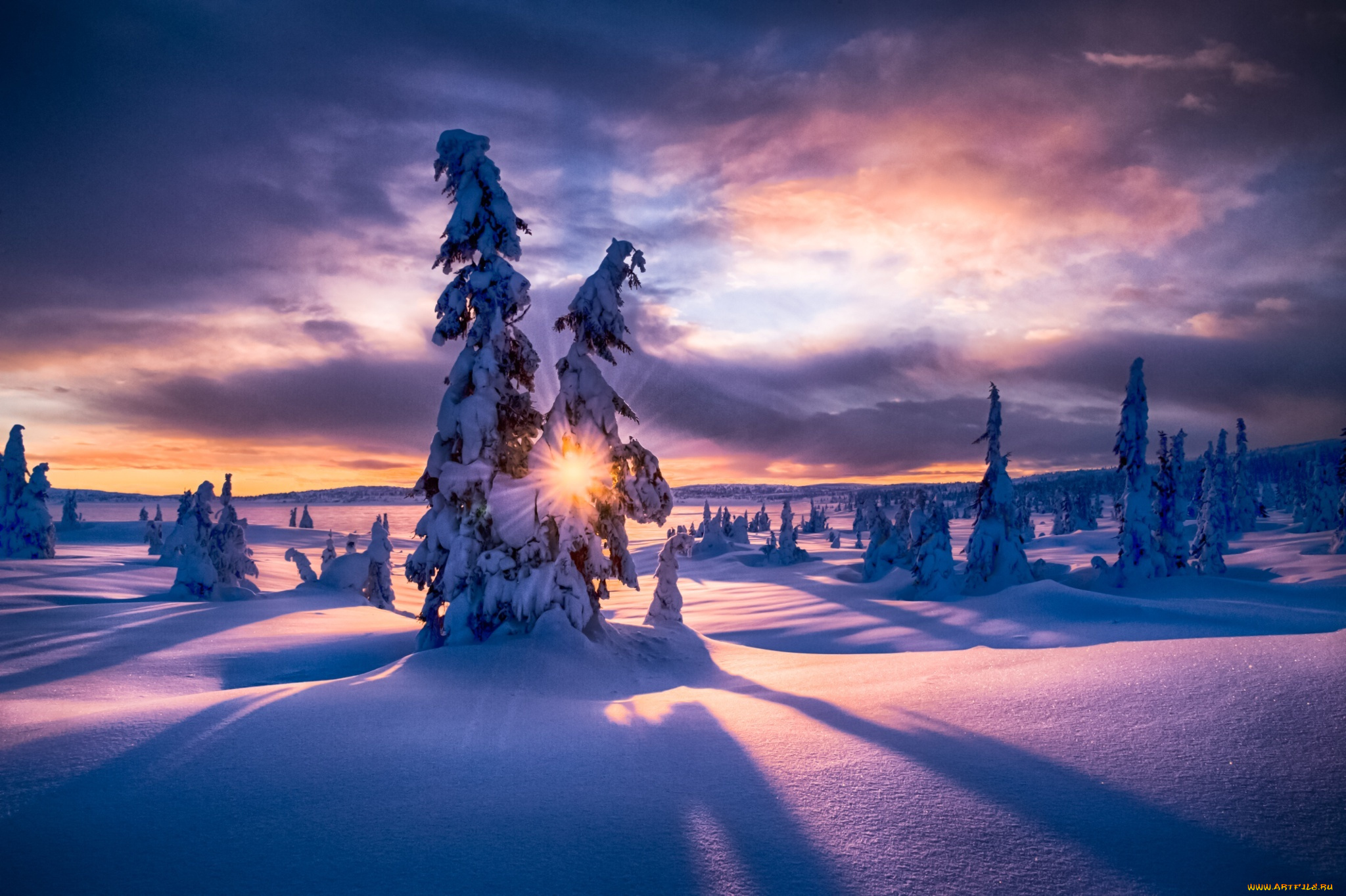 природа, зима, лес, рассвет, снег