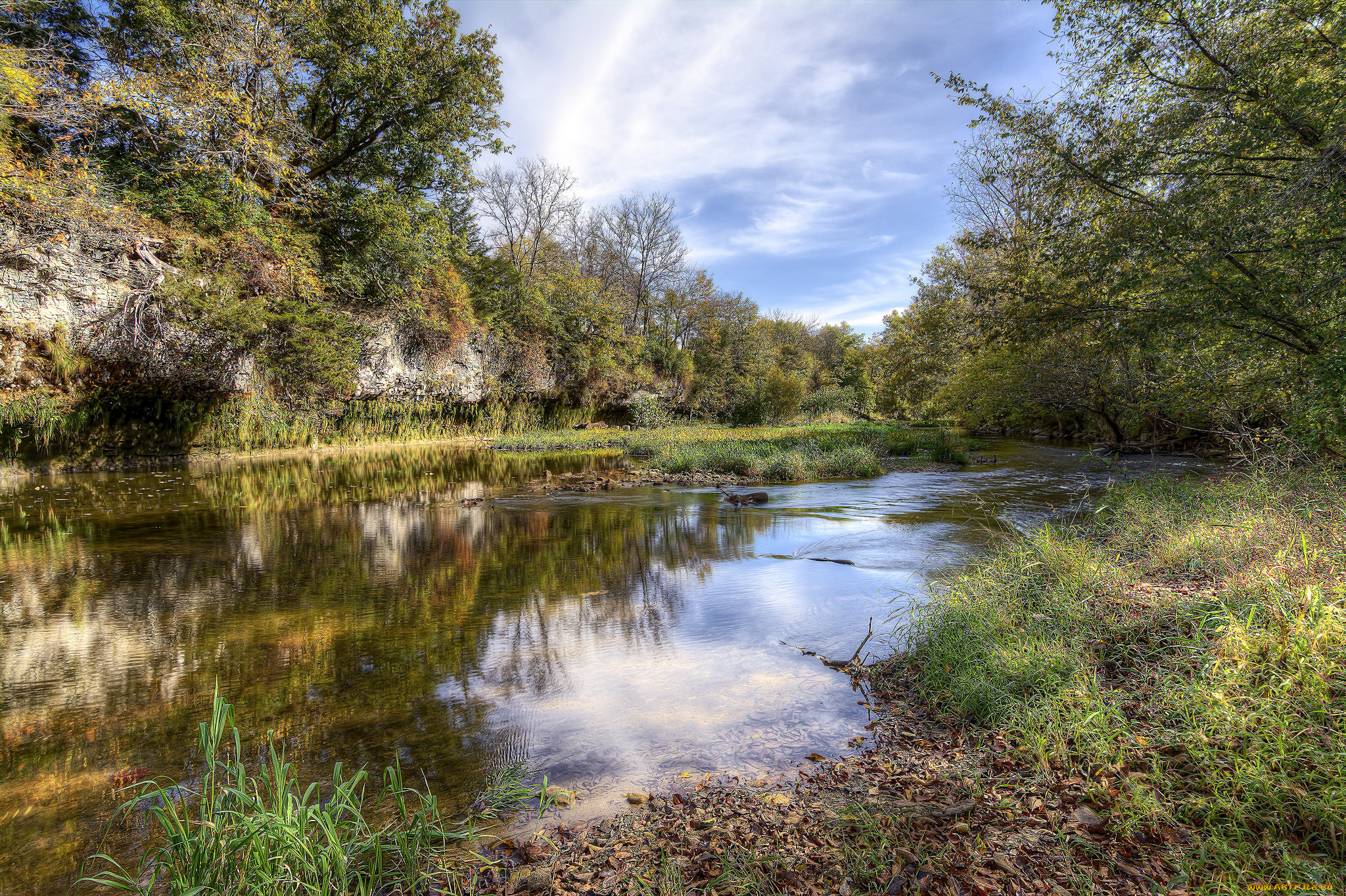 природа, реки, озера, река, лес