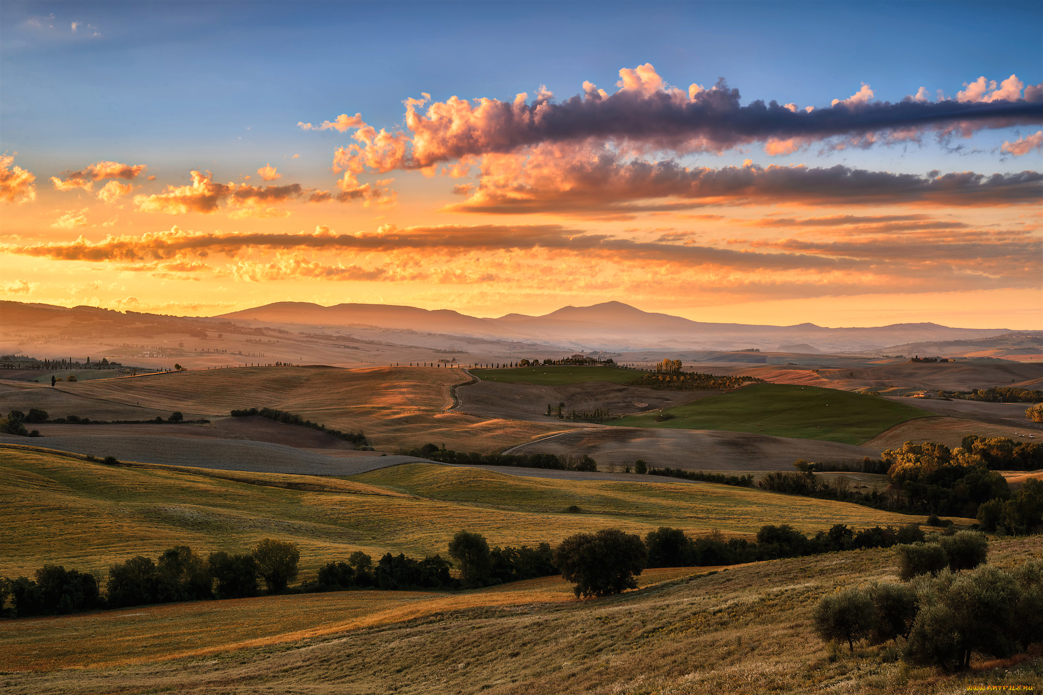 природа, поля, италия, тоскана, лето, август, свет, небо, облака