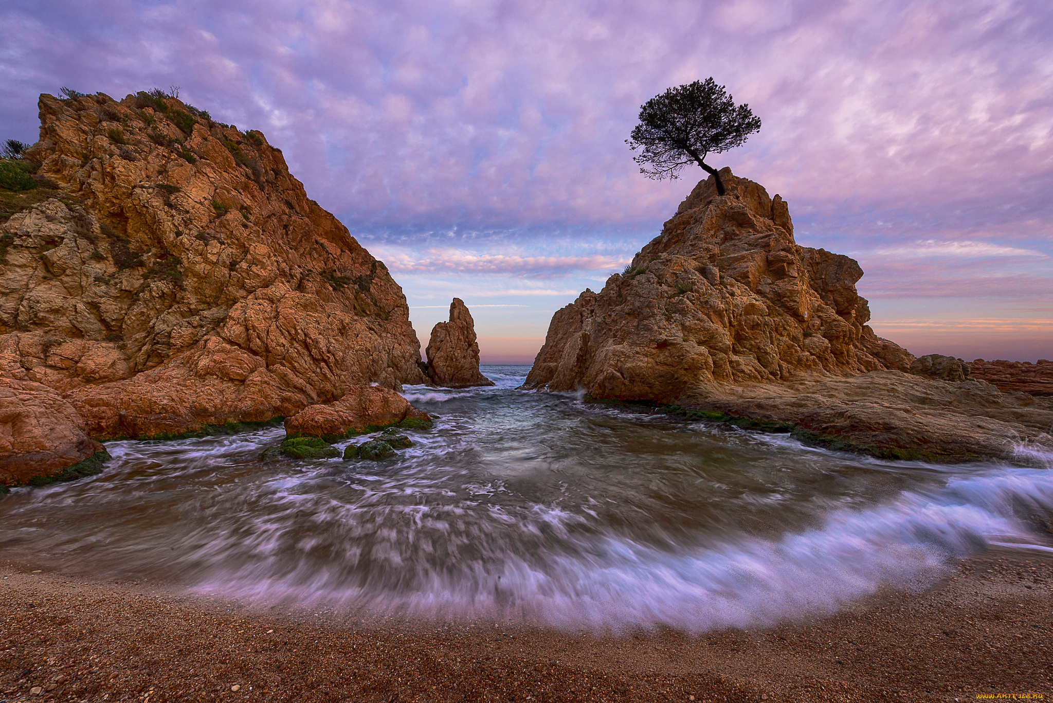 природа, побережье, испания, море, пляж, скалы, дерево