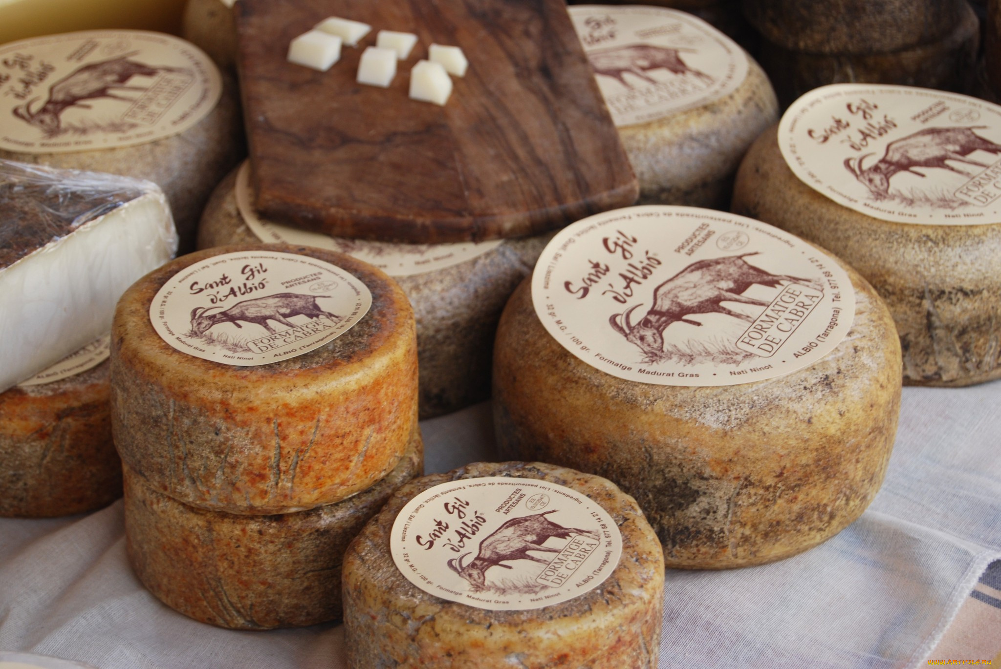 sant, gil, d`albi&, 243, еда, сырные, изделия, сыр