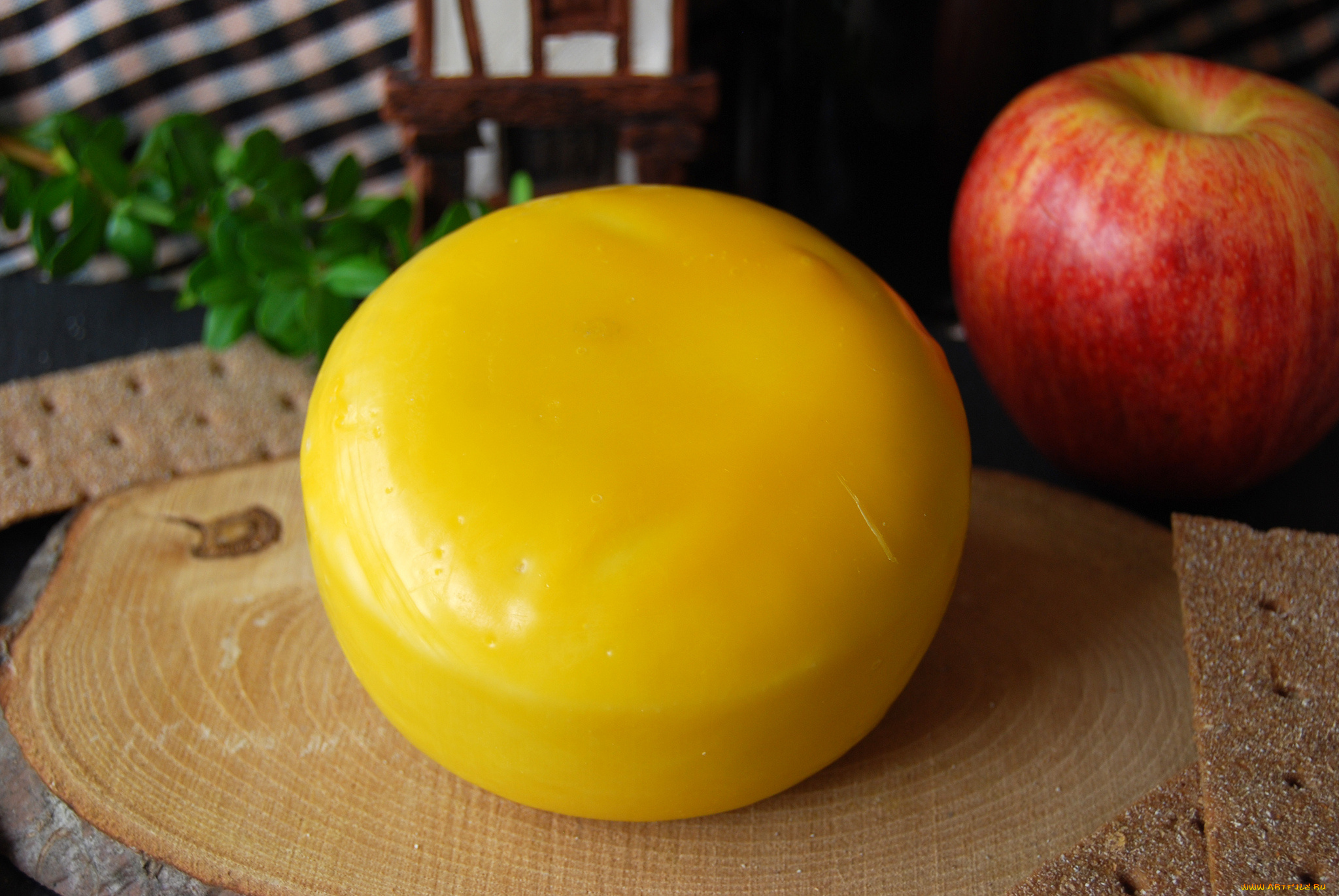 baby, goat, cheese, еда, сырные, изделия, сыр